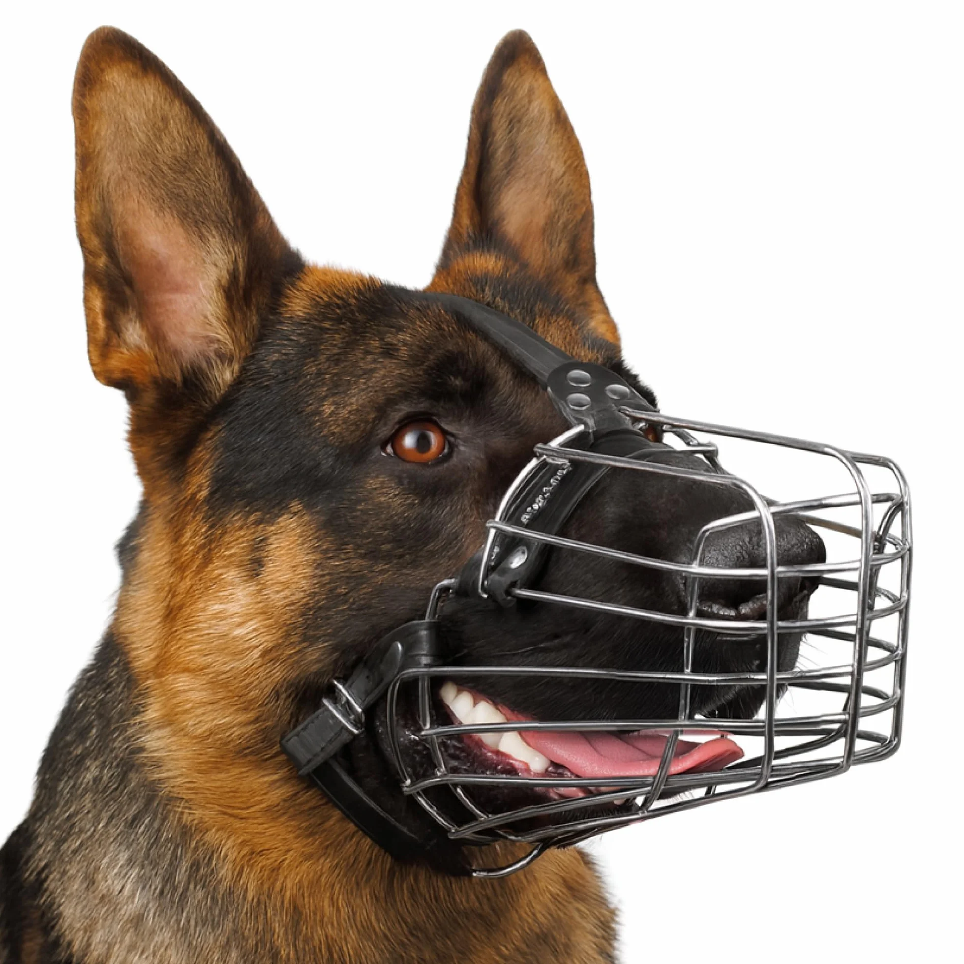 BRONZEDOG Muselière pour Chien en Fil de Fer - Berger Allemand pour Chiens de Taille Moyenne et Grande - Panier en métal Durable pour Mordre, mâcher et aboyer (L)