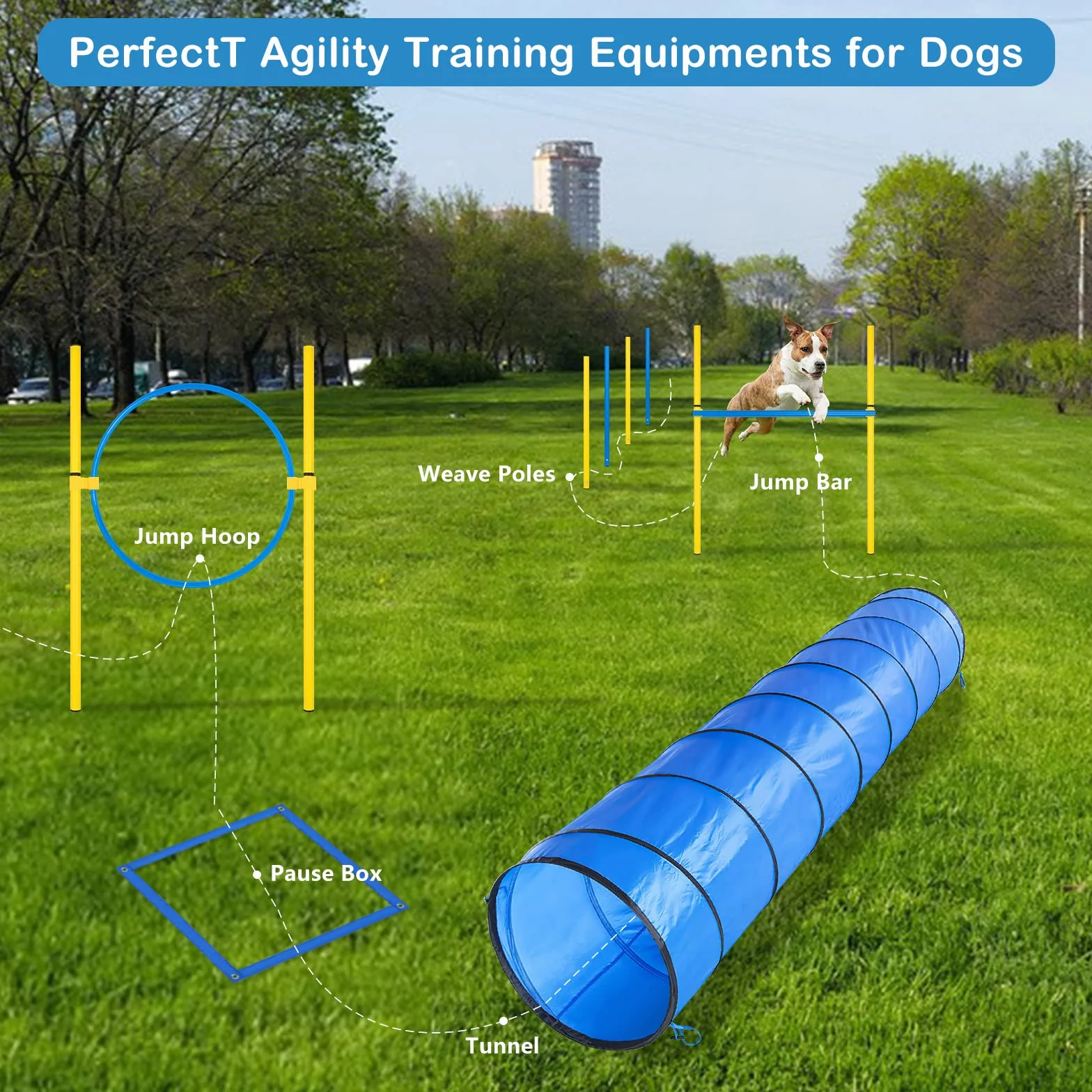 Kit Agility pour Chien Équipement Parcours Obstacle Anneau Tunnel Haies Slalom