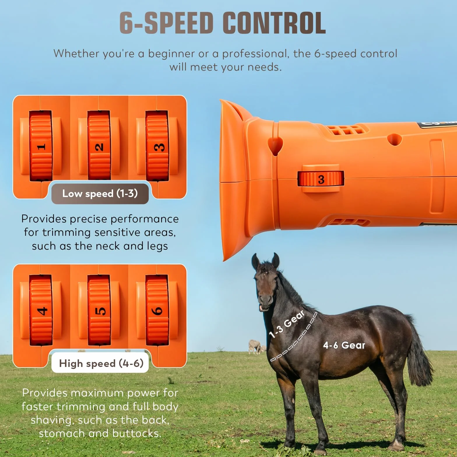 CGOLDENWALL Tondeuse pour Chevaux Sans Fil 690W 2800 tr/min 6 Vitesses 2×4000mAh 4h Autonomie