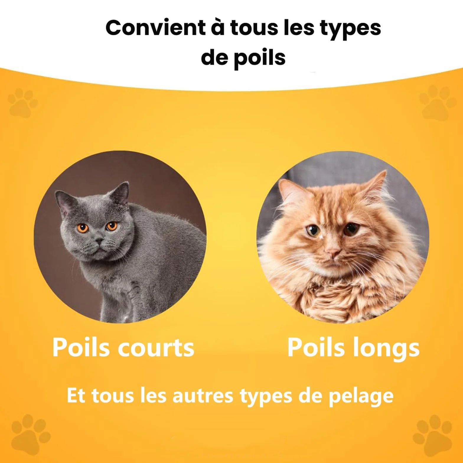 chat peigne, 2025 brosse anti-poils mort –peigne anti puces douce, efficace et autonettoyante, idéale pour poils longs et courts (Jaune)