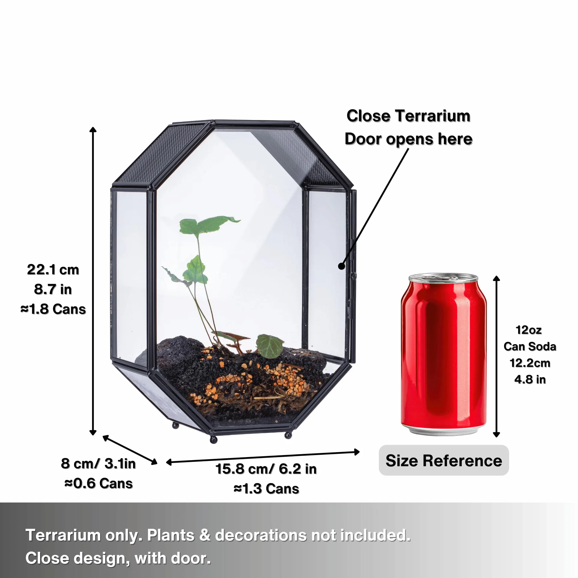 Terrarium en Verre Octogonale 15,8x8x22,1 cm avec Maille et Porte pour Araignées Insectes Petites Plantes