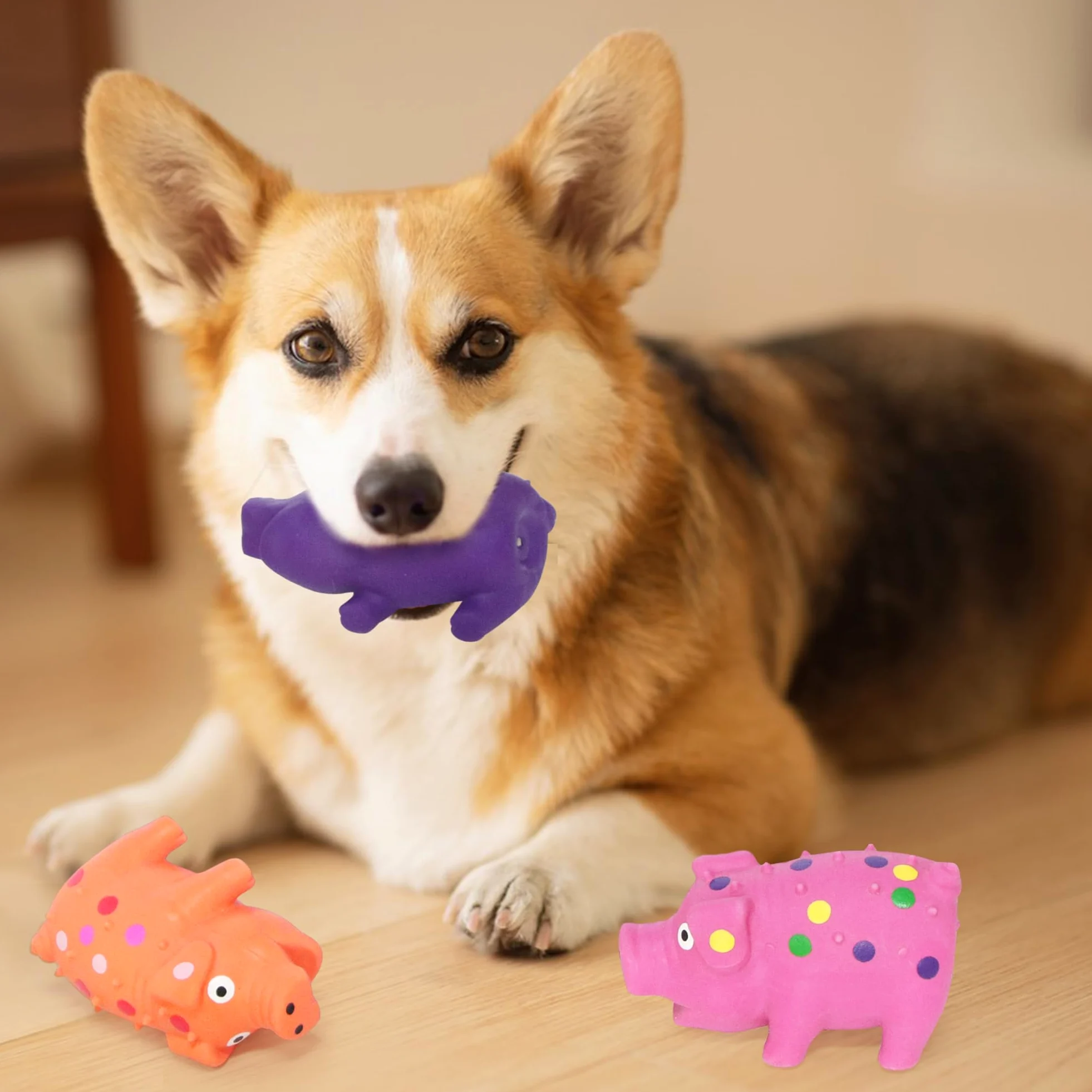 Lot de 6 jouets couineurs pour chien, cochon en caoutchouc pour chiot, chiens de petite et moyenne taille, jouets à mâcher interactifs durables en latex de 10,2 cm