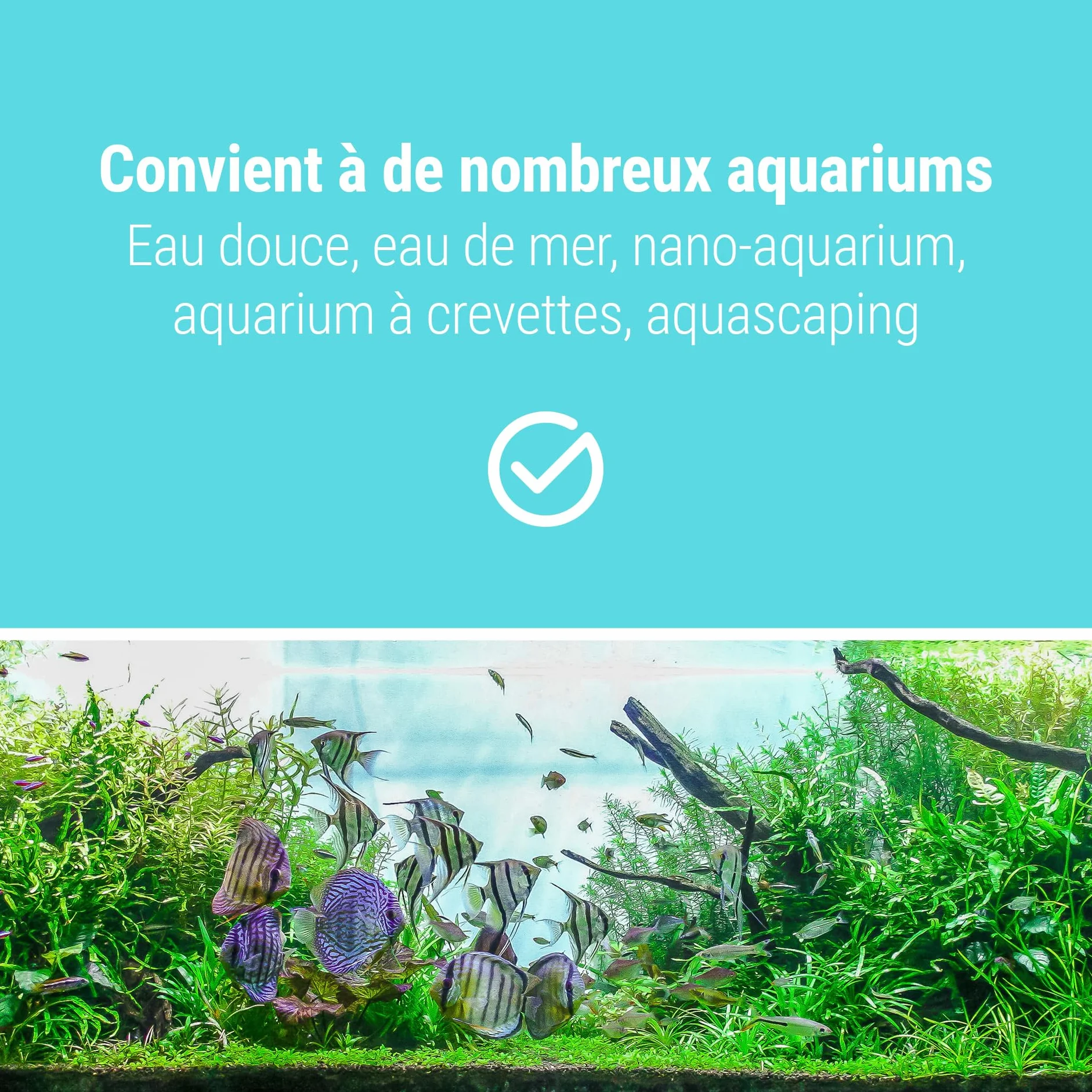 Schicker Mineral Sable d'aquarium Noir 0,4-0,8 mm 25 kg Gravier Fin pour Aquarium