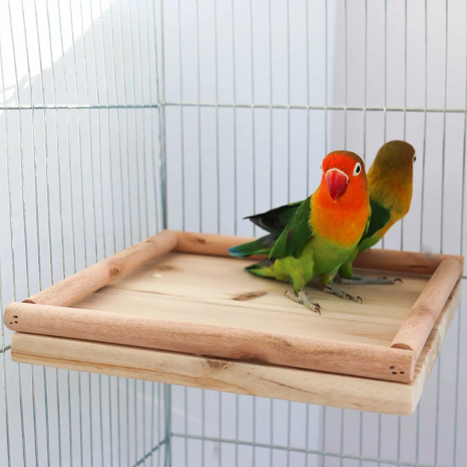 Perchoir en Bois Naturel pour Oiseaux 20×20 cm - Plateforme pour Perroquets, Accessoire Cage