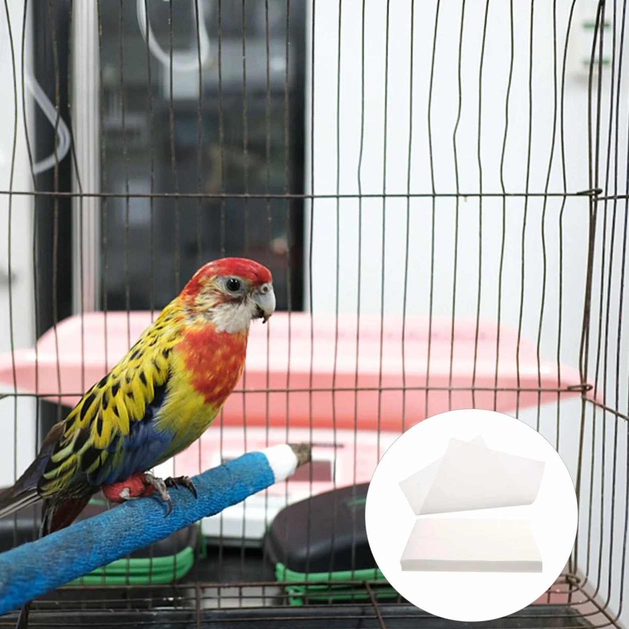 Doublure De Cage Oiseau Absorbante Non Tissé 13.78x9.84In Jetable Tapis Hygiénique pour Perroquet