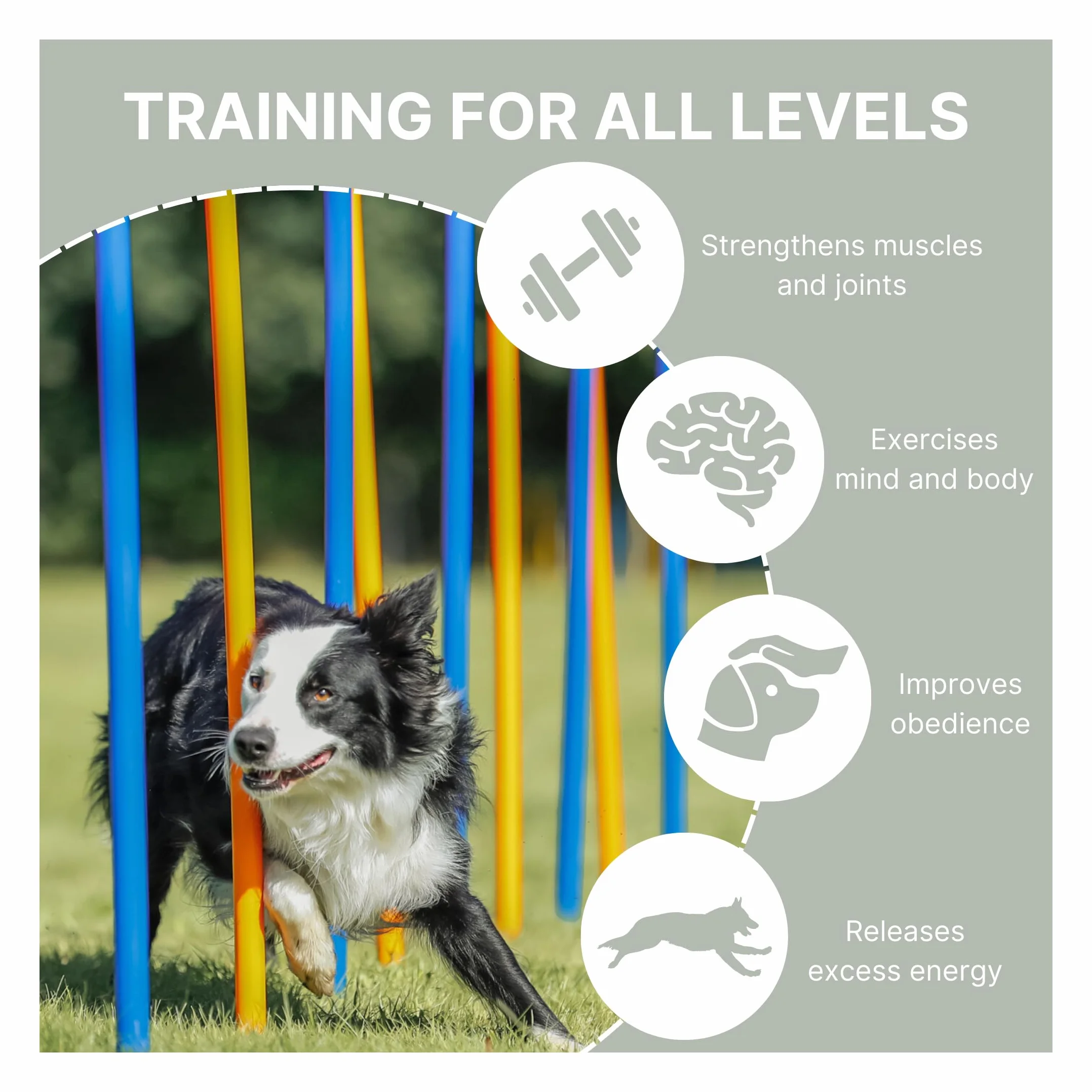 Trixie Dog Activity Agility Slalom 115H x 3W x 115L cm 12 Pieces Bleu Orange