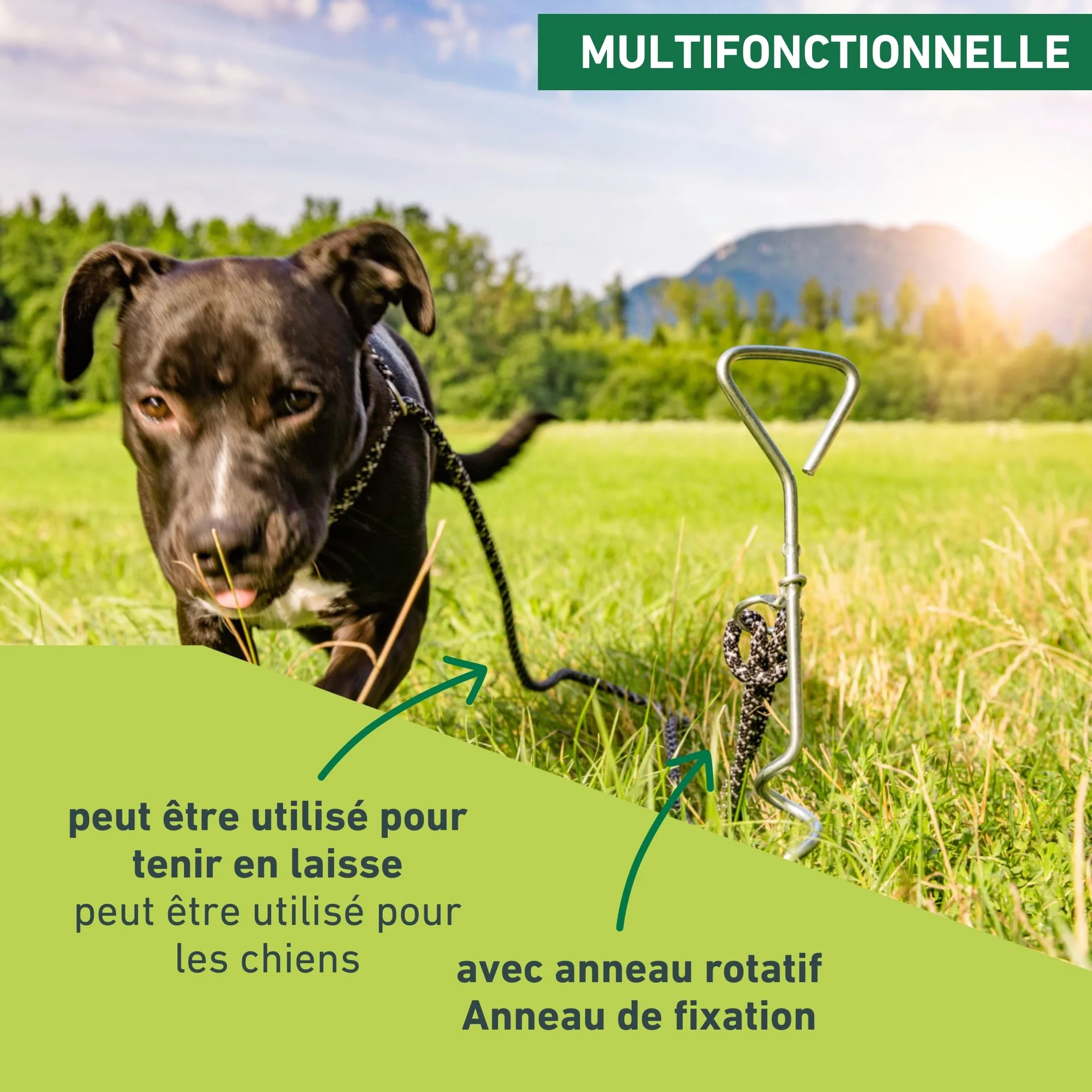Windhager Piquet d'ancrage au sol en spirale 41 cm x 8 mm pour chien
