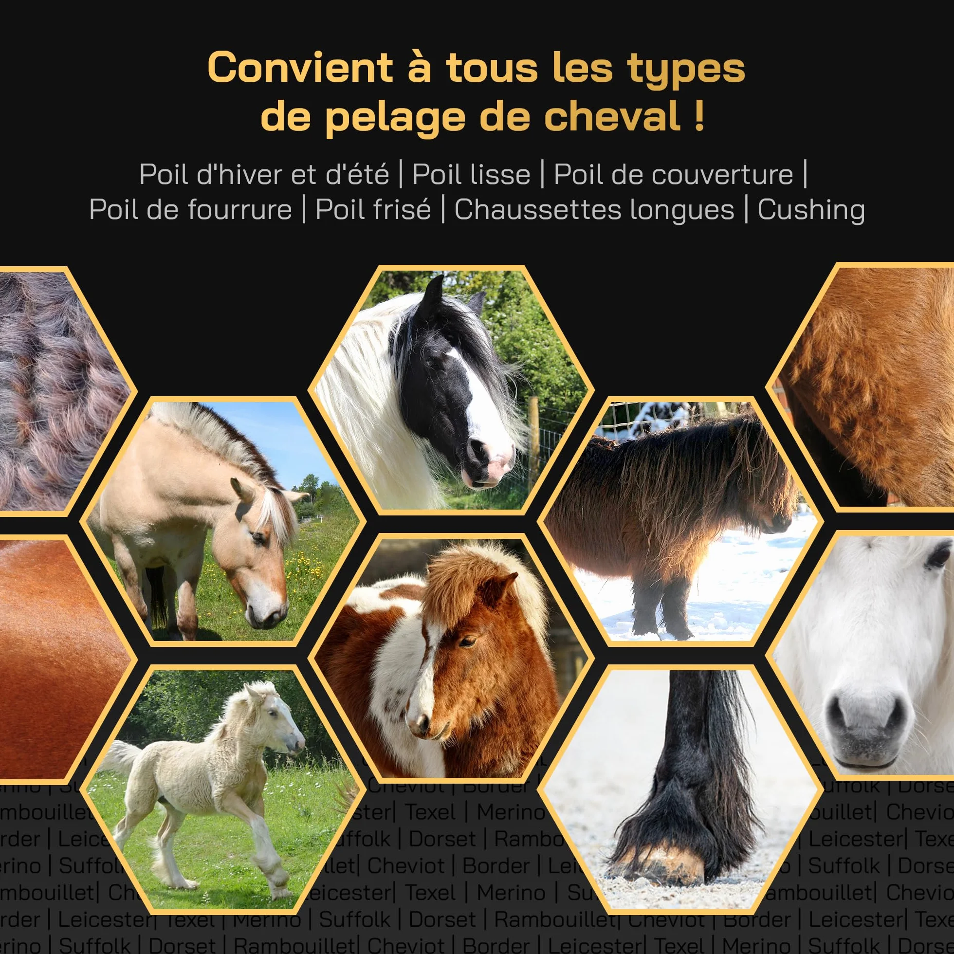Tondeuse Cheval KNEIZER Kit Complet Lames Interchangeables Silencieuse Faible Vibration