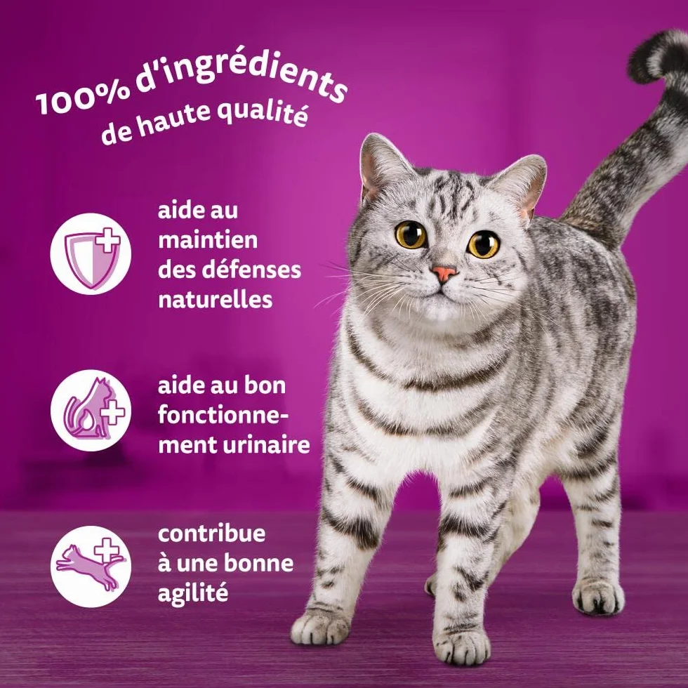 WHISKAS 7 Ans+ Repas Pour Chat Senior, Lot de 84 Sachets fraîcheur 85 g, Nourriture Humide Chat