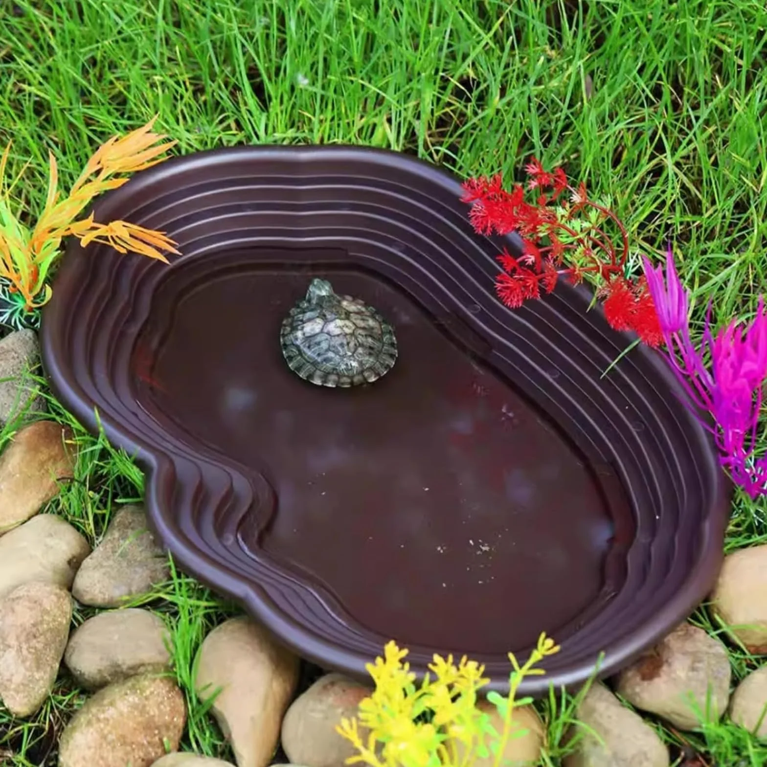Plat d'eau Tortue pour Reptiles avec Rampe et Plate-Forme, Bol d'alimentation