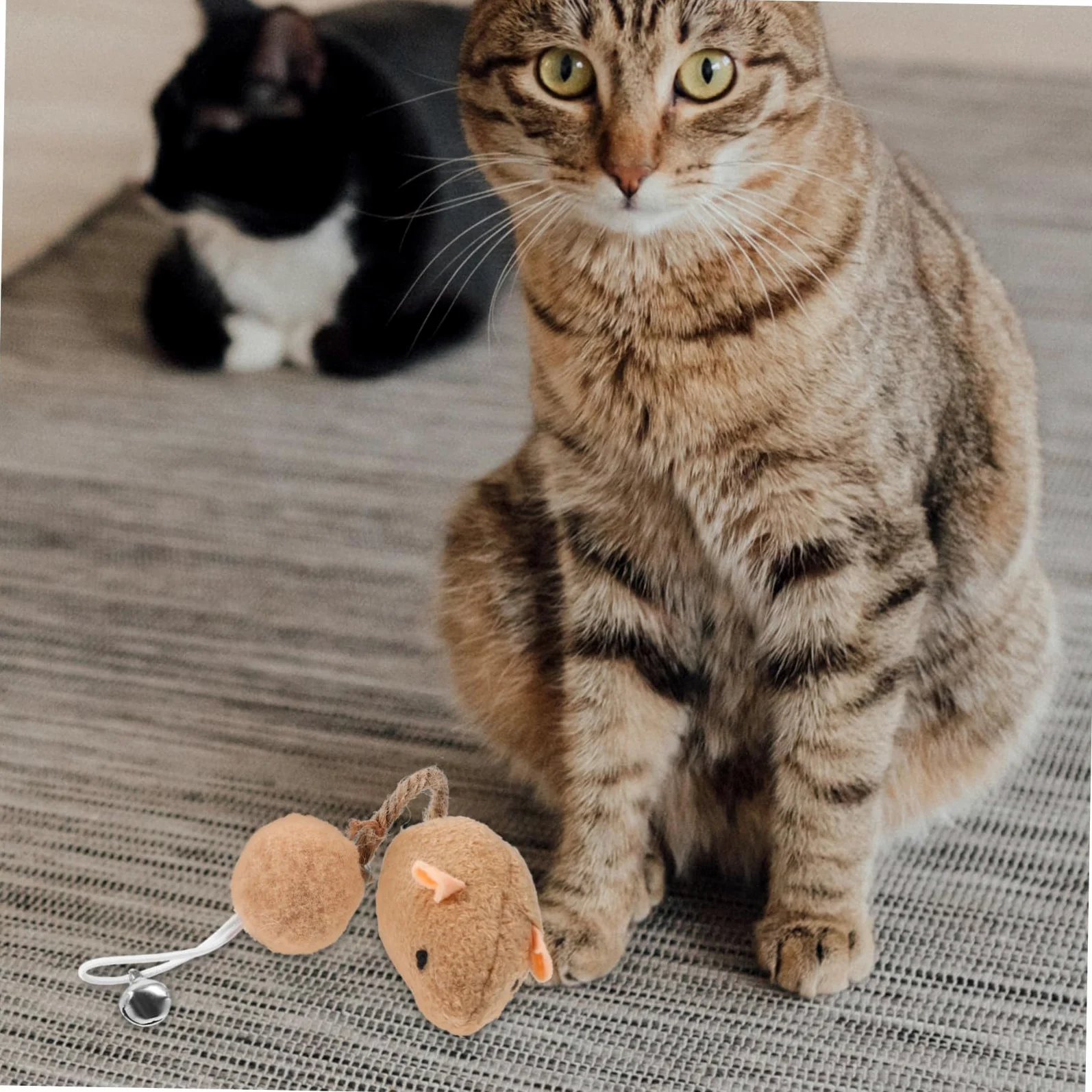 6 Pièces Souris avec Accessoires Interactifs pour Actifs Blancs