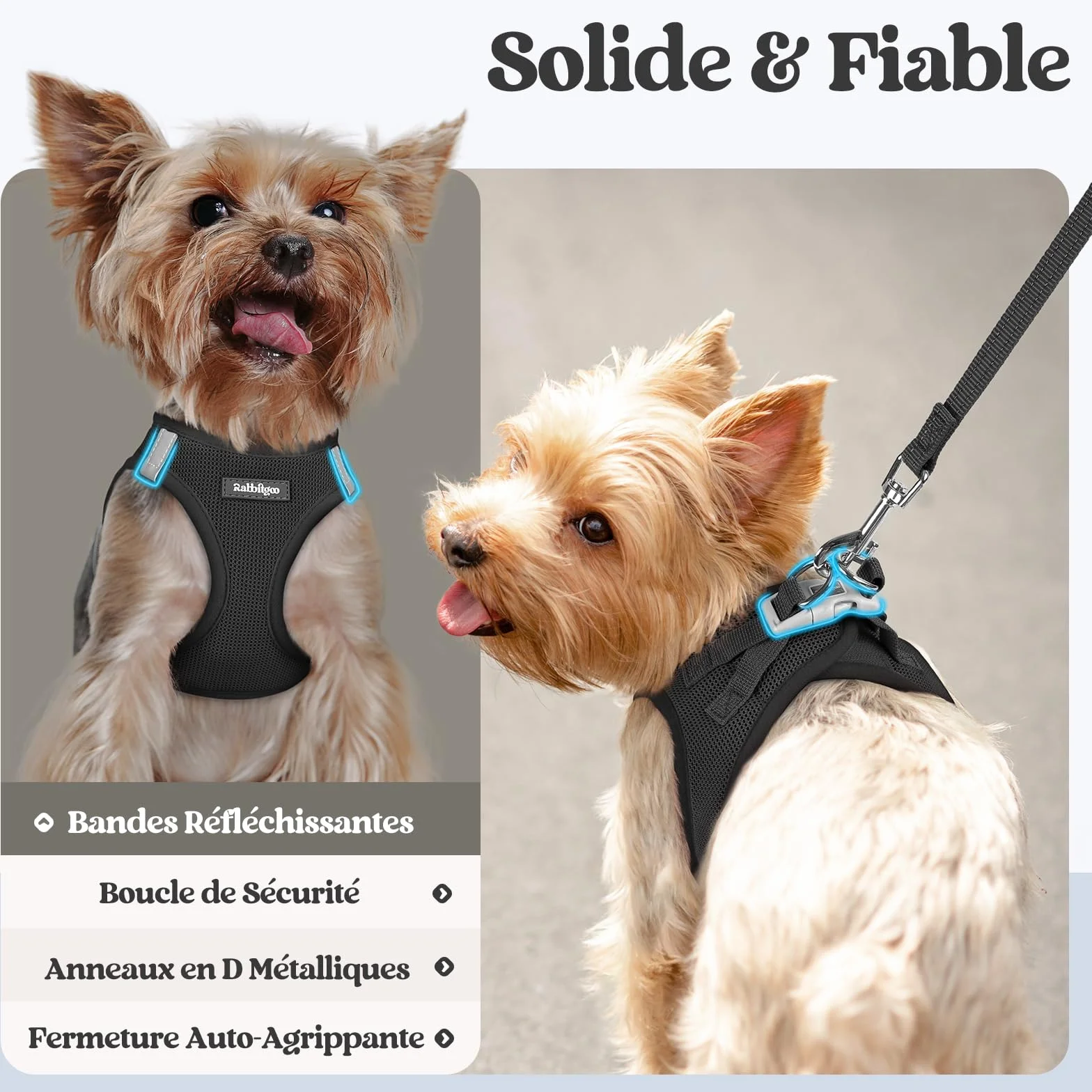 Rabbitgoo Harnais Chien Petite Taille avec Laisse Réfléchissant, Maille Souple, Gilet Réglable Facile à Mettre, pour Petit et Moyen, Noir S