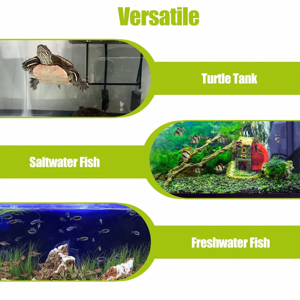 Pinces Magnétiques pour Nourrir les Algues, Mangeoire Magnétique pour Aquarium d'Eau Douce et de Mer