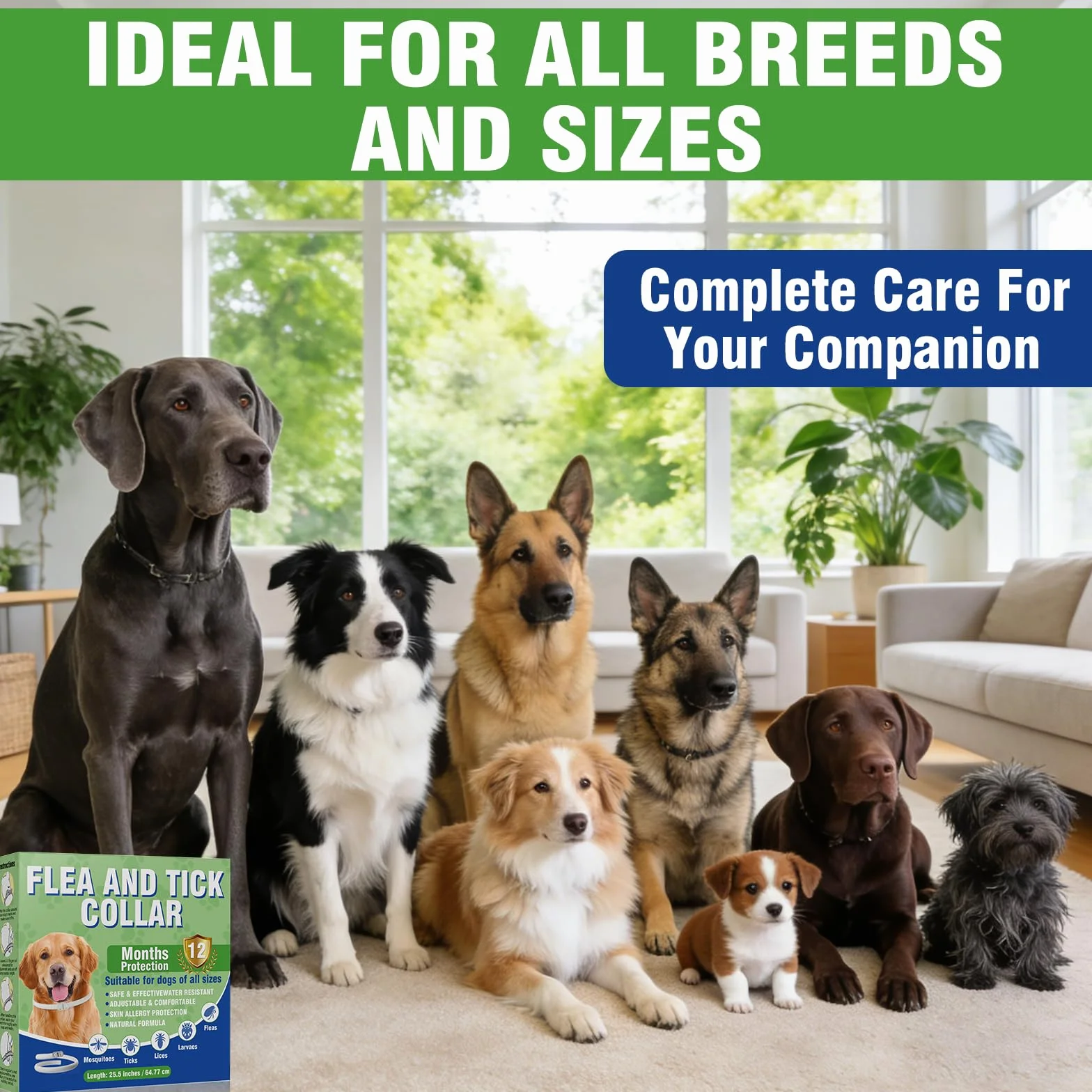 Collier Anti Puces pour Chien Naturel, Ajustable, Doux, Protection 12 Mois, Imperméable, 2 Pack