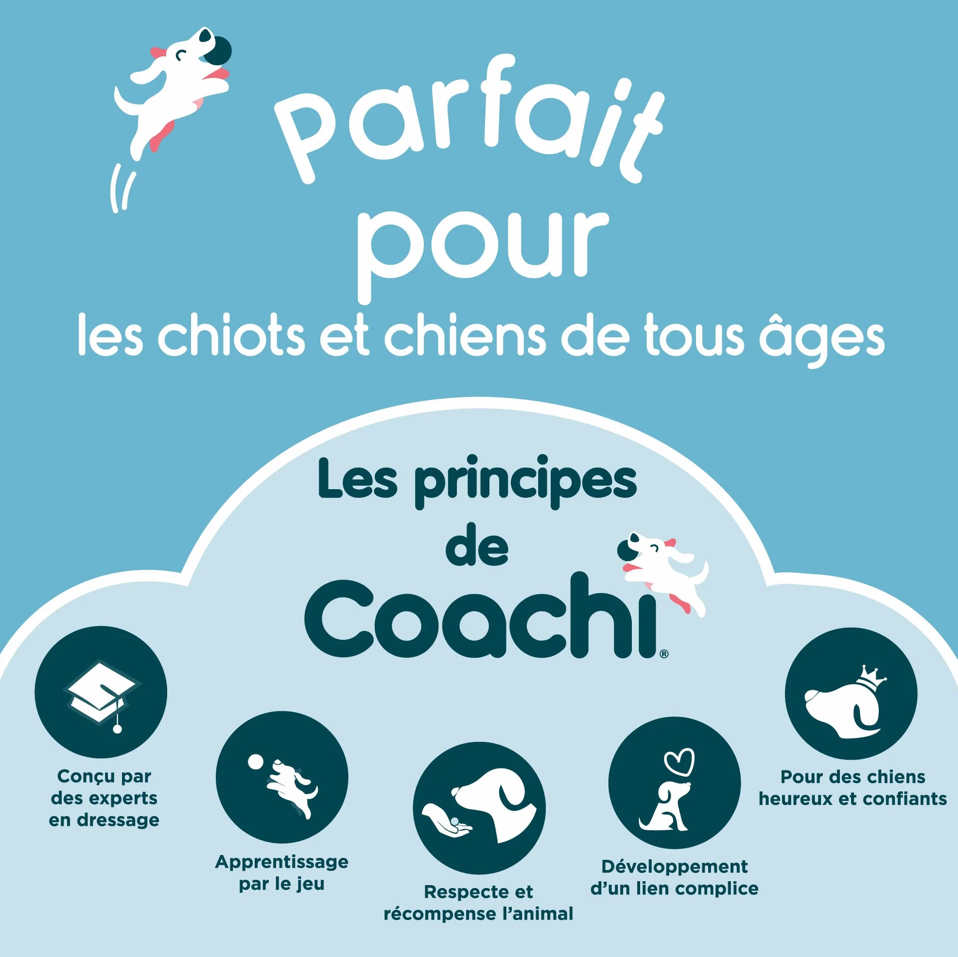 Coachi Canvas Training Dummy à Lancer pour Dressage de Chiots et Chiens de Chasse