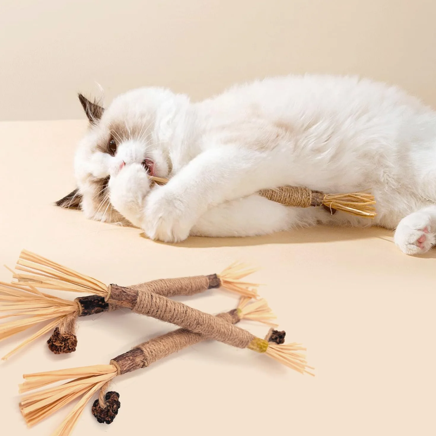 Lot de 6 bâtonnets d'herbe à chat en bois à mâcher pour soins dentaires et mauvaise haleine