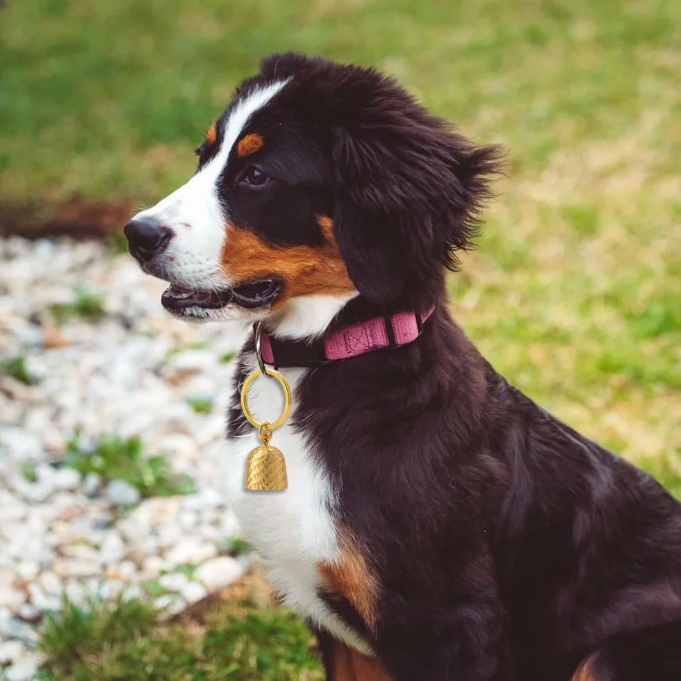 Cloche à Breloques pour Collier Chat, Clochette en Cuivre pour Animaux avec Boucle de Suspension