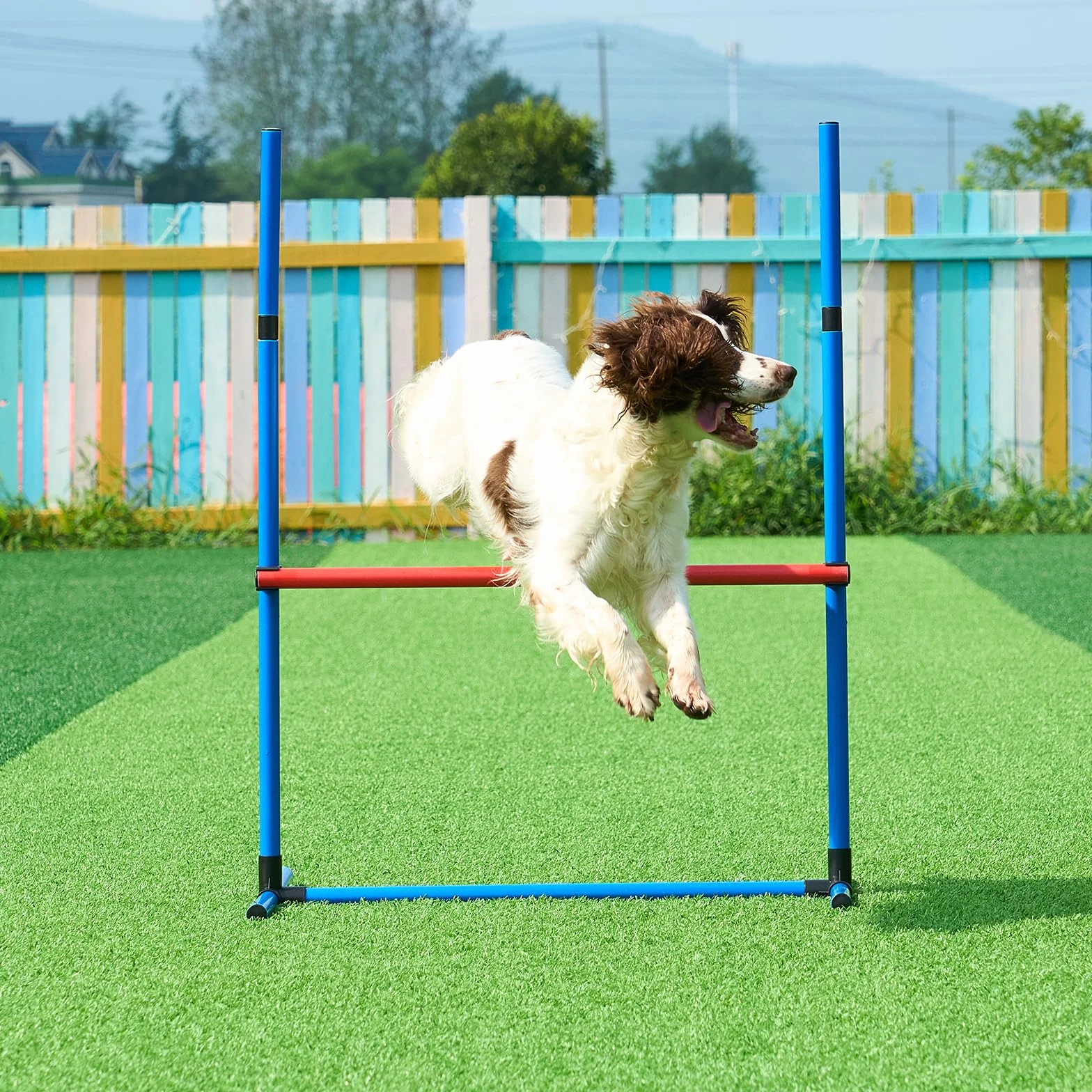 VEVOR Équipements d'Entraînement Agilité pour Chien, Ensemble 4PCS, Parcours Obstacles avec Haies Réglables
