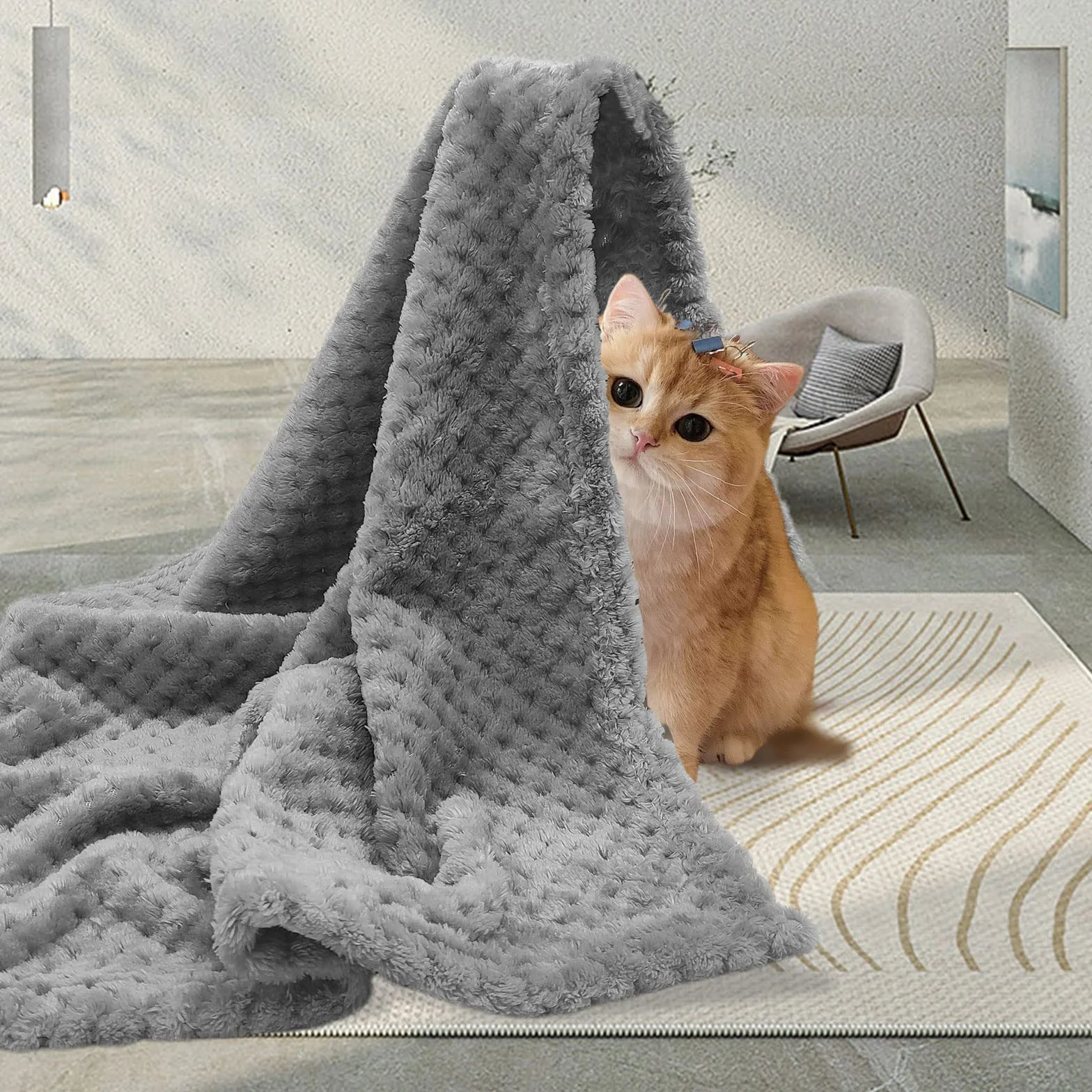 Couverture douce pour chien et chat en polaire lavable 70 x 50 cm gris
