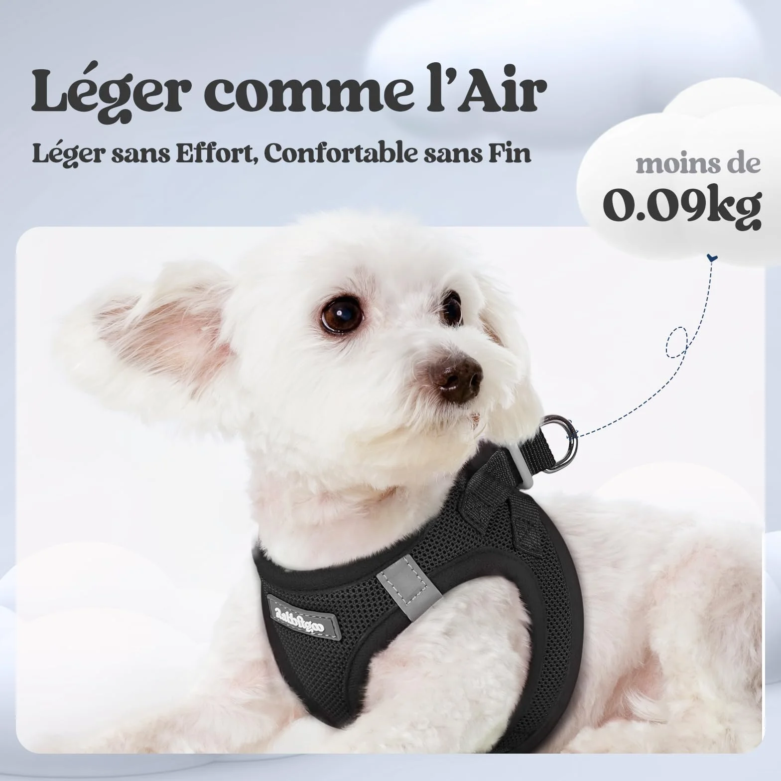 Rabbitgoo Harnais Chien Petite Taille avec Laisse Réfléchissant, Maille Souple, Gilet Réglable Facile à Mettre, pour Petit et Moyen, Noir S