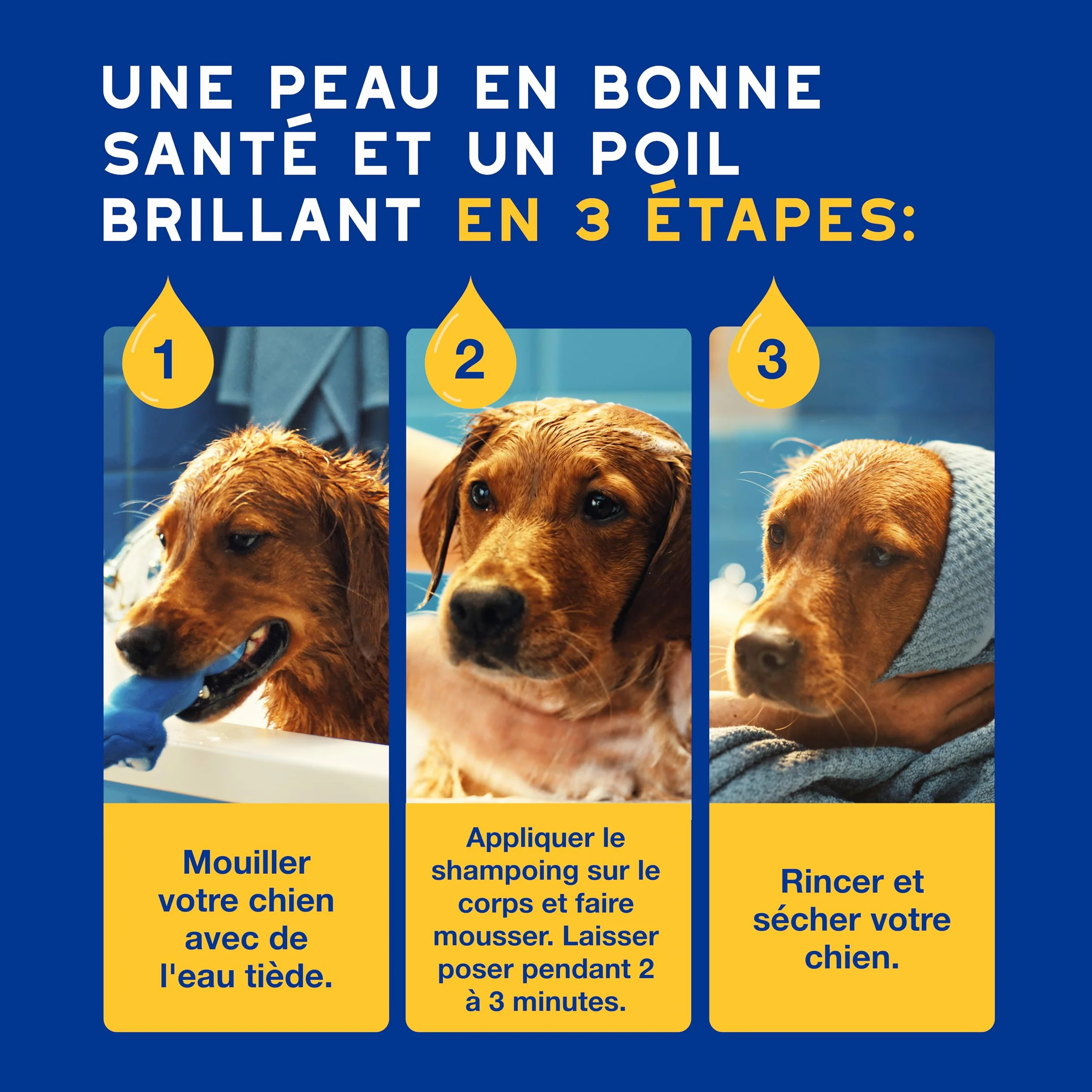 DOUXO Skin & Coat Spa - Ultra-Safe Shampoing hydratant pour Chien, 250mL, Nettoie et Hydrate la Peau Profondeur, Laisse Le Pelage Doux et éclatant, Formule respectueuse de la Peau.
