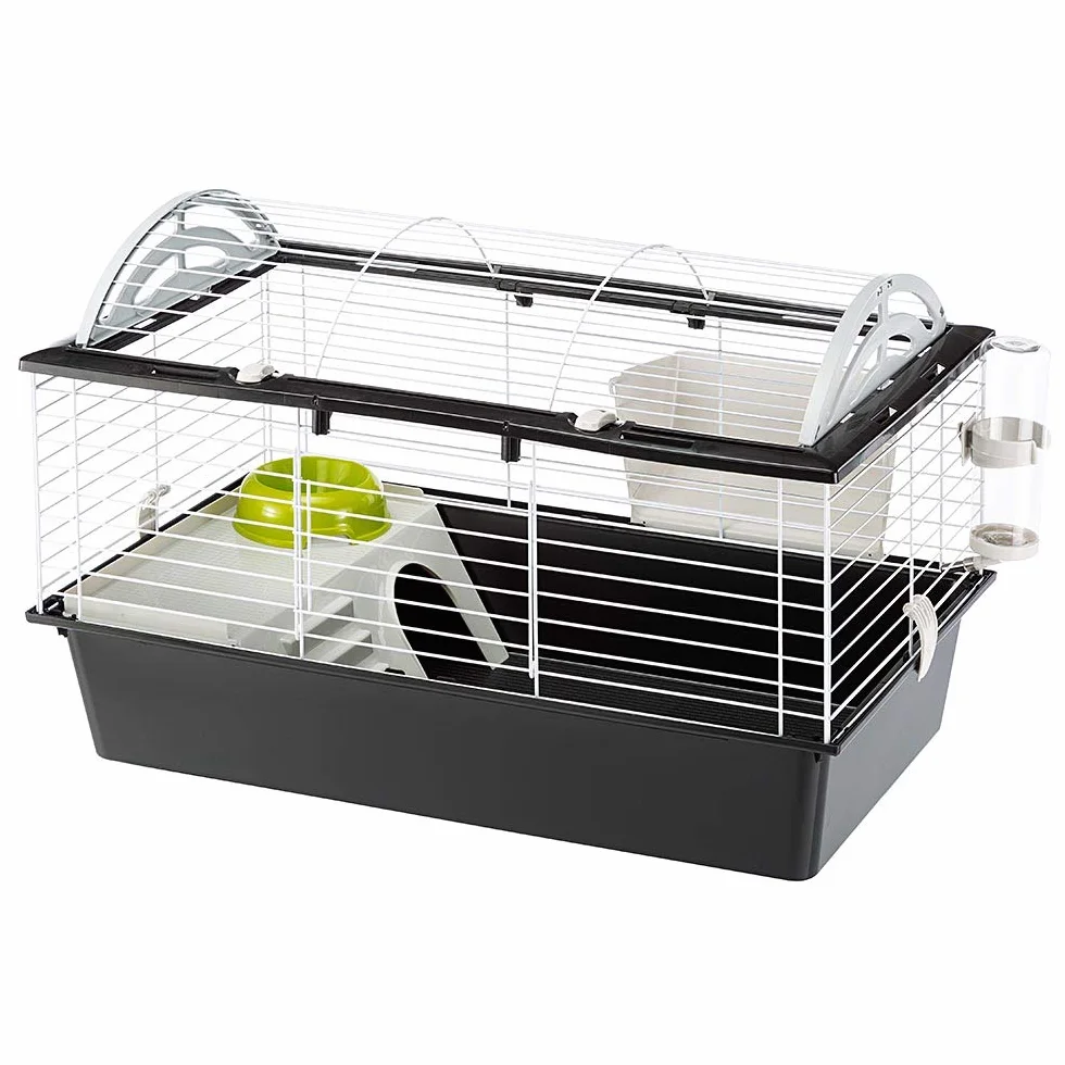 FERPLAST Cage pour Rongeurs CASITA 80 pour Cochons d'Inde, Cochons d'Inde, en Métal, Accessoires inclus : Mangeoire, Abreuvoir, Abreuvoir, Maison. 78x48xh50cm