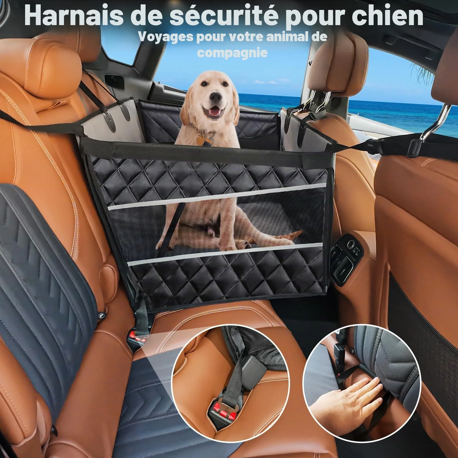 Siège Auto Chien pour Grande et Moyenne Taille en Voiture, Siège de Voiture pour Chiens avec Fenêtre de Visualisation,Pliable, Lavable en Machine, Compatible avec Tous Véhicules