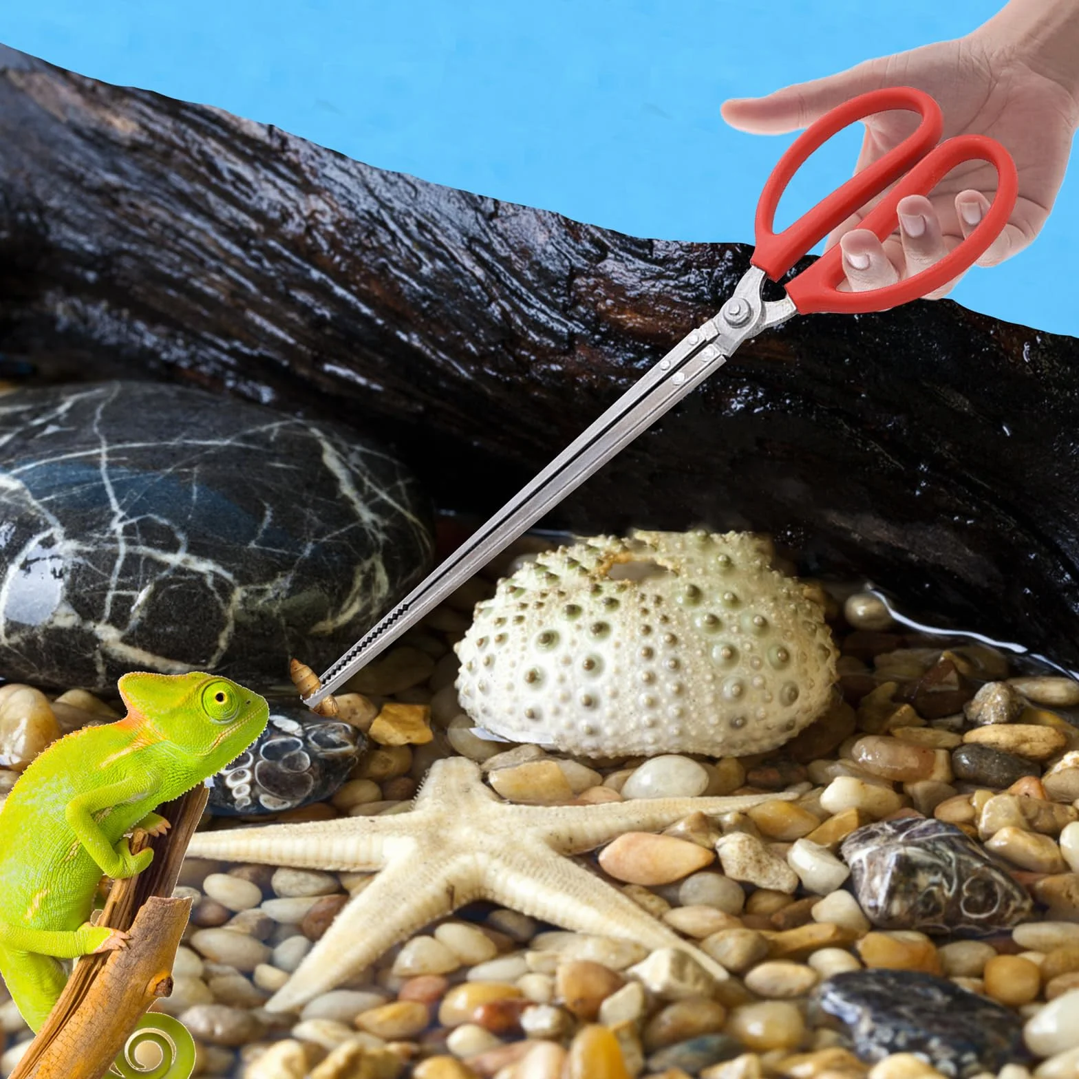 Pince à Nourriture Reptile Extra Longues 38cm pour Serpents Tortue Lézard