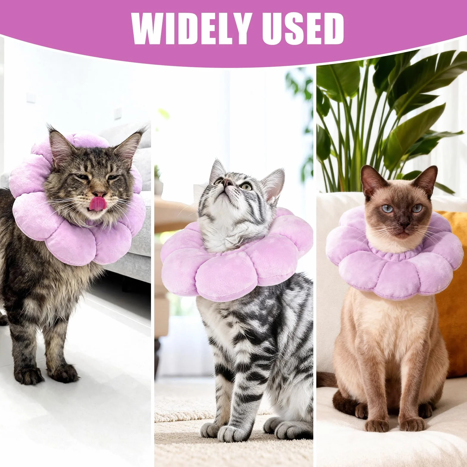 QKURT Colerette Chat Anti Léchage, Doux et Confortable Ajustable Collerettes Chat pour Chatons Anti Lechage Après Chirurgie, Joli Tournesol