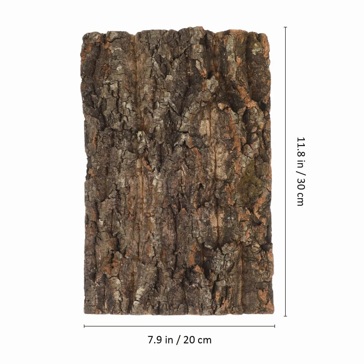 Garneck Parois arrière en écorce de liège pour terrarium 30 x 20 cm – Surface d'escalade pour reptiles
