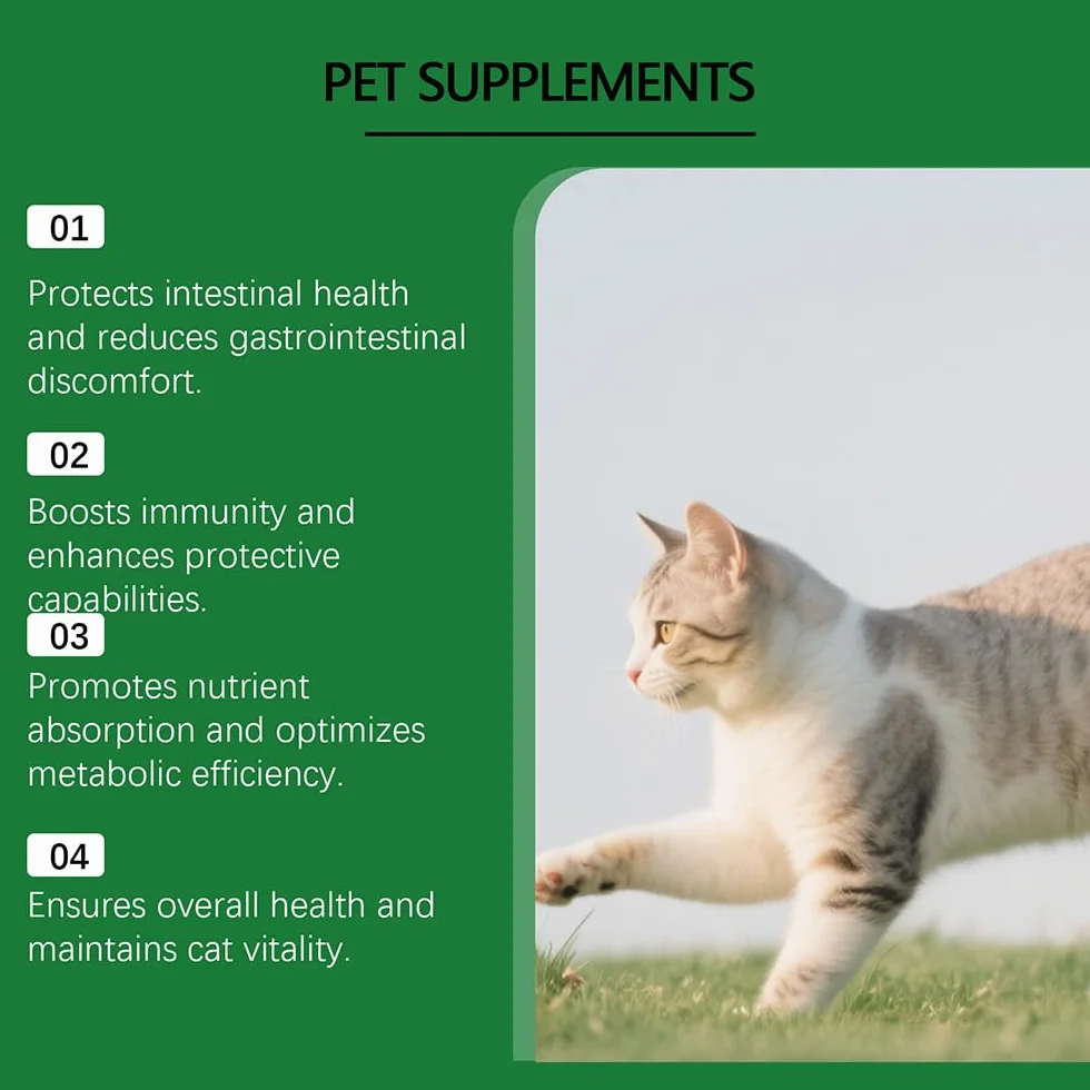 Fengyang Gouttes Probiotiques pour Chats, Constipation Reltf, Soulagement Doux, Digestion Saine