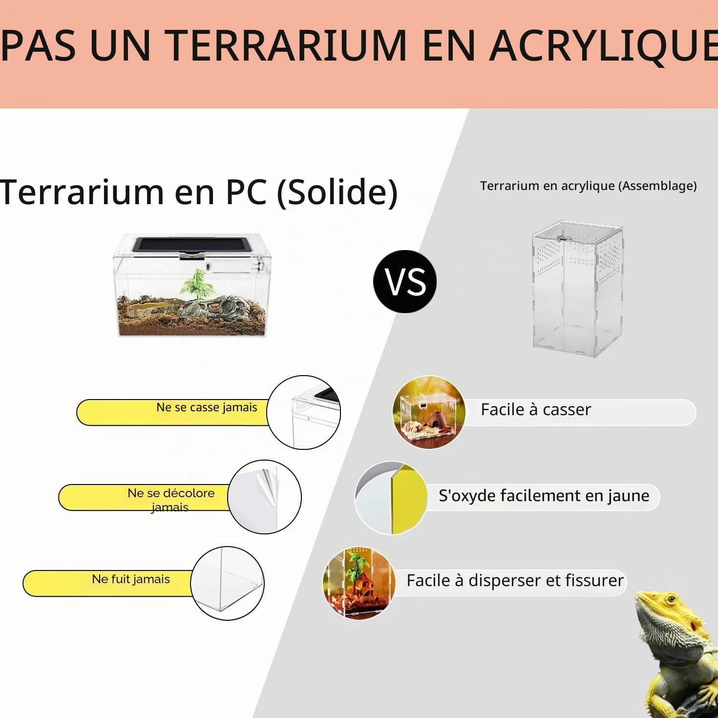 PC Reptile Growth Terrarium, 12" x 7" x 6", Vivarium Vue Complète pour Lézard Gecko Léopard Dragon Barbu