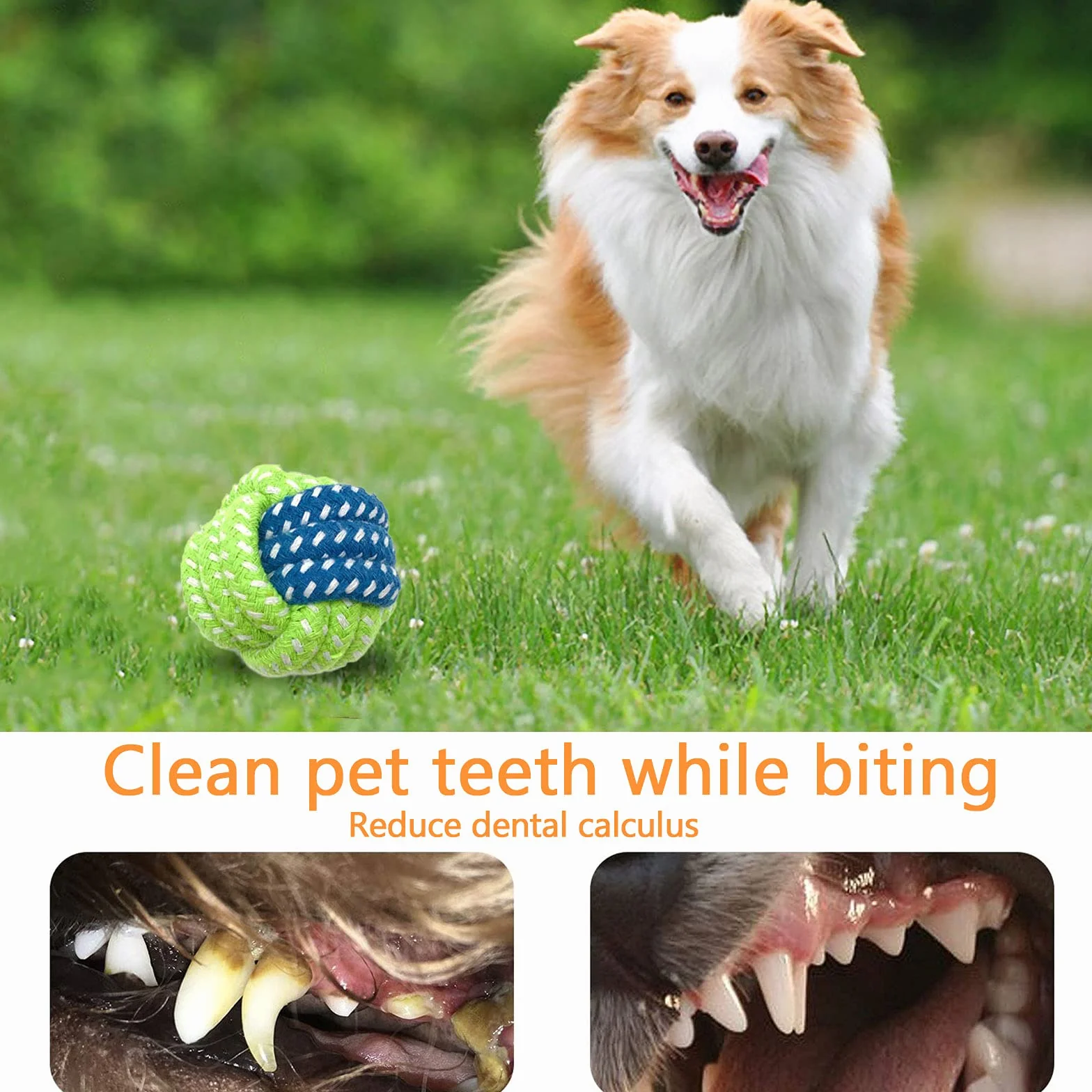 Frasheng Ensemble de Jouets pour Chien 18 Pièces, Corde à Mâcher Durable, Jouet Interactif, Peluche, Balle, Coton Naturel pour Petit et Moyen Chien