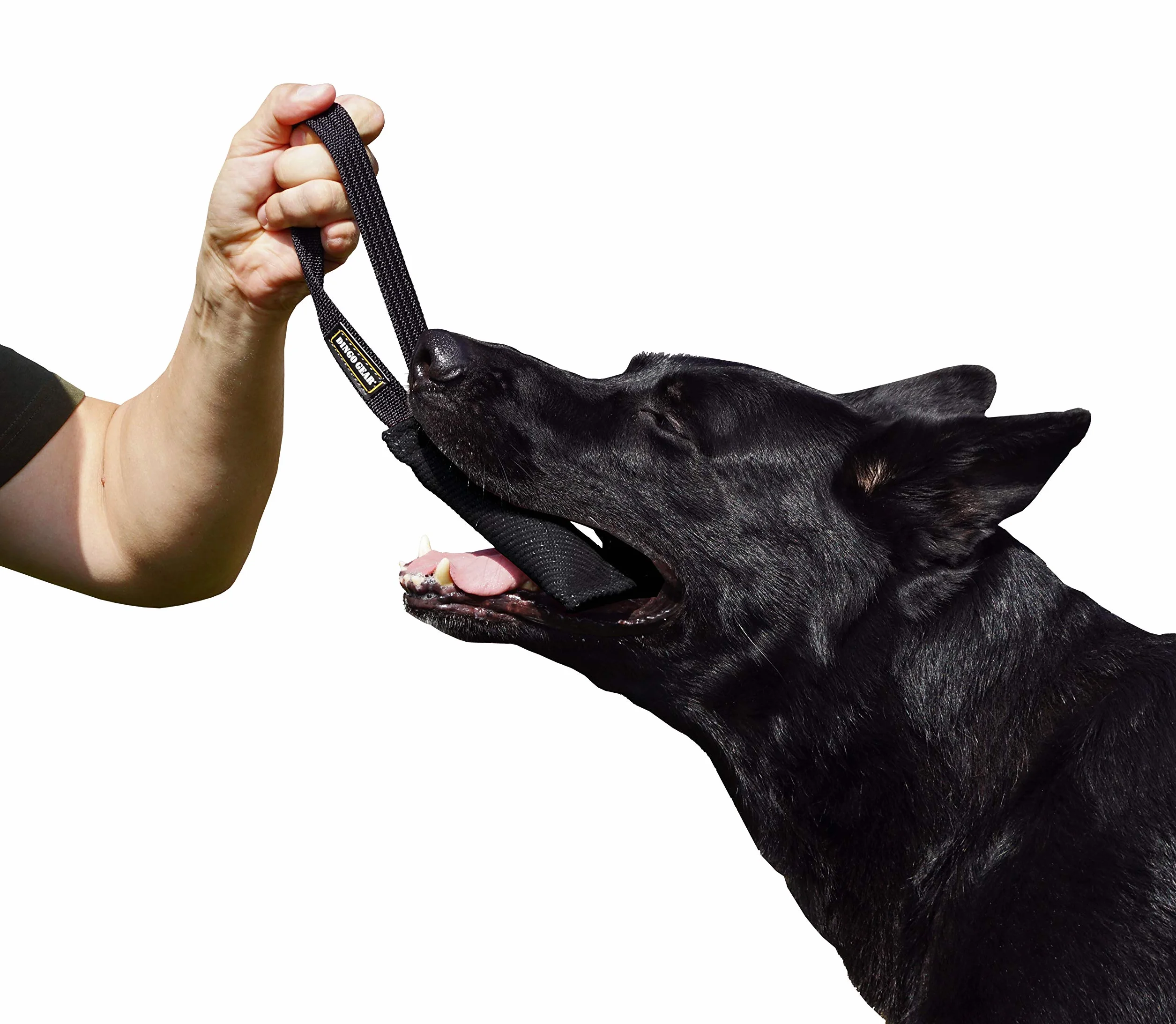 Dingo Gear Nylcot Bite Tire-Chien Dressage IGP Fun 1 poignée Noir 15 x 5 cm