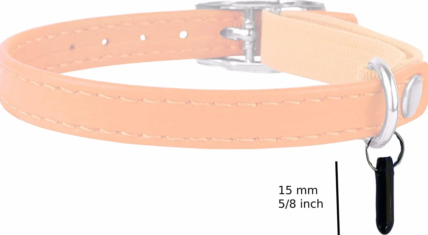 Compatible avec Sureflap Surefeed Microchip Tiny RFID Lot de 2 clés de rechange