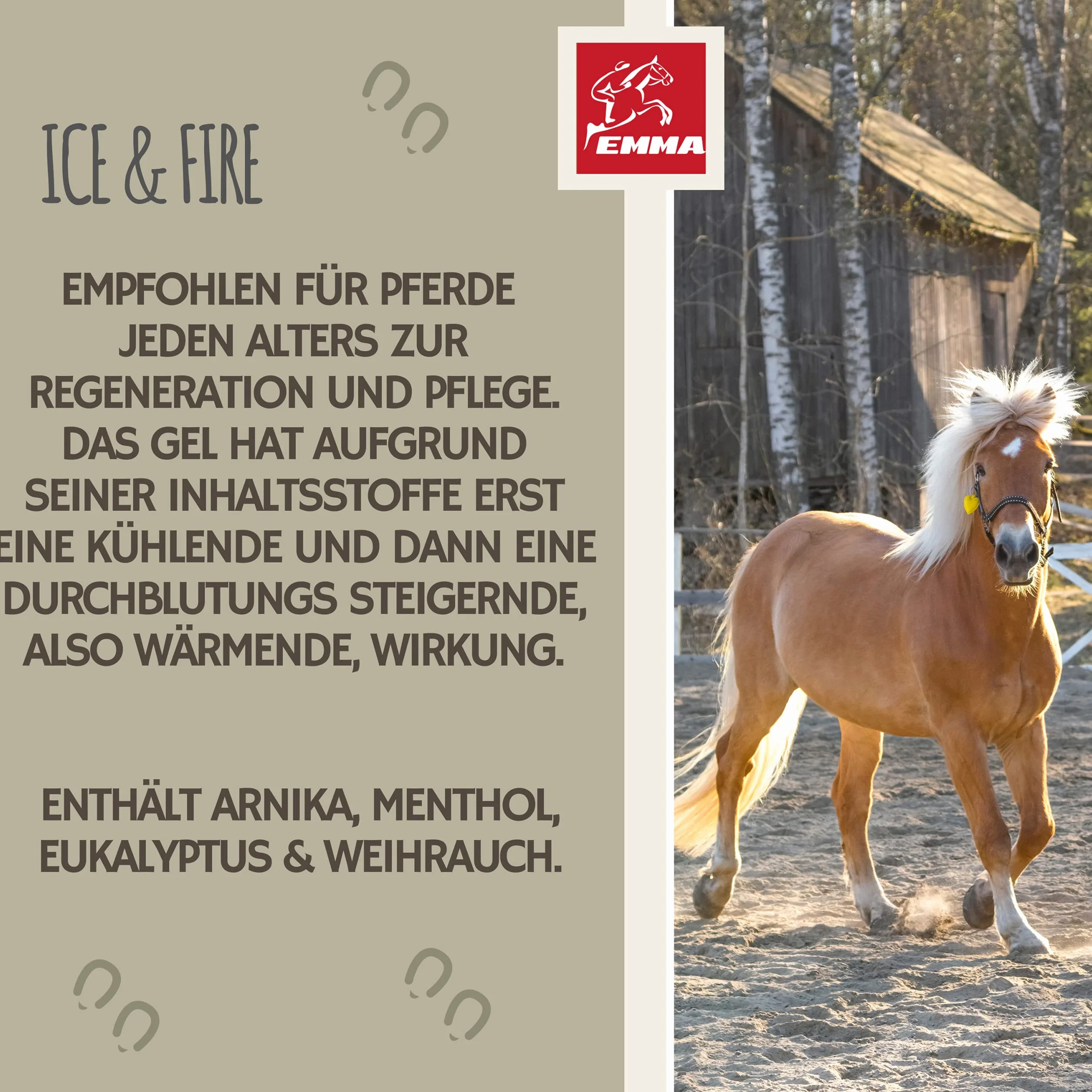 Baume de cheval rafraîchissant 500ml Gel à l'arnica Gel extra fort I Horse Balm Tendons, ligaments & muscles I Pommade pour chevaux à l'arnica Crème Gel de massage pour les muscles pour cheval chien