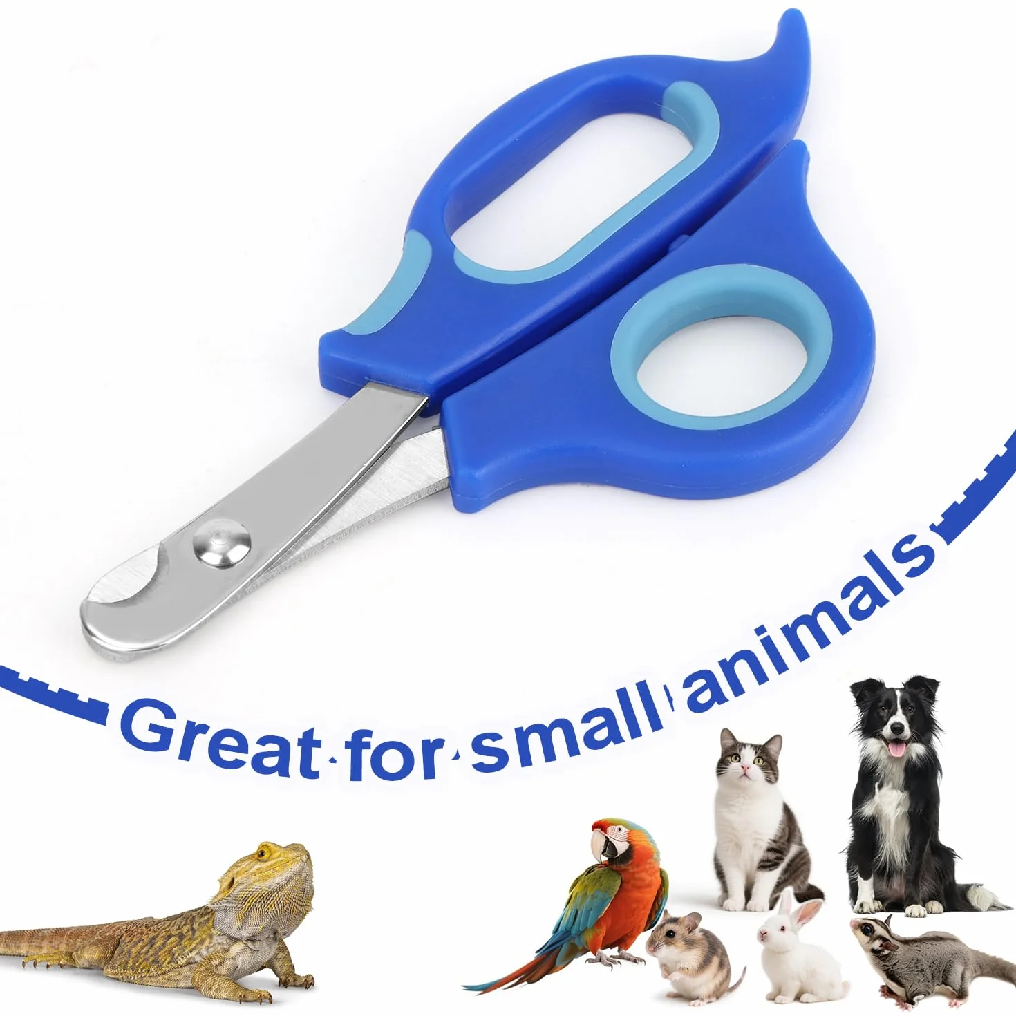 Coupe-Ongles pour Dragon Barbu en Acier Inoxydable Professionnel Reptiles