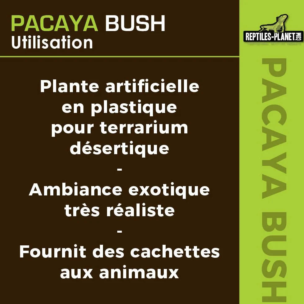 REPTILES PLANET - Pacaya Bush- Plante Artificielle - Décoration pour Terrarium - 20 cm