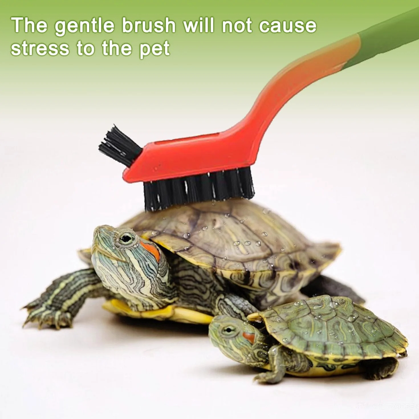 2 brosses à tortue avec ventouse, brosse nettoyage écailles exfoliante accessoires tortue vert