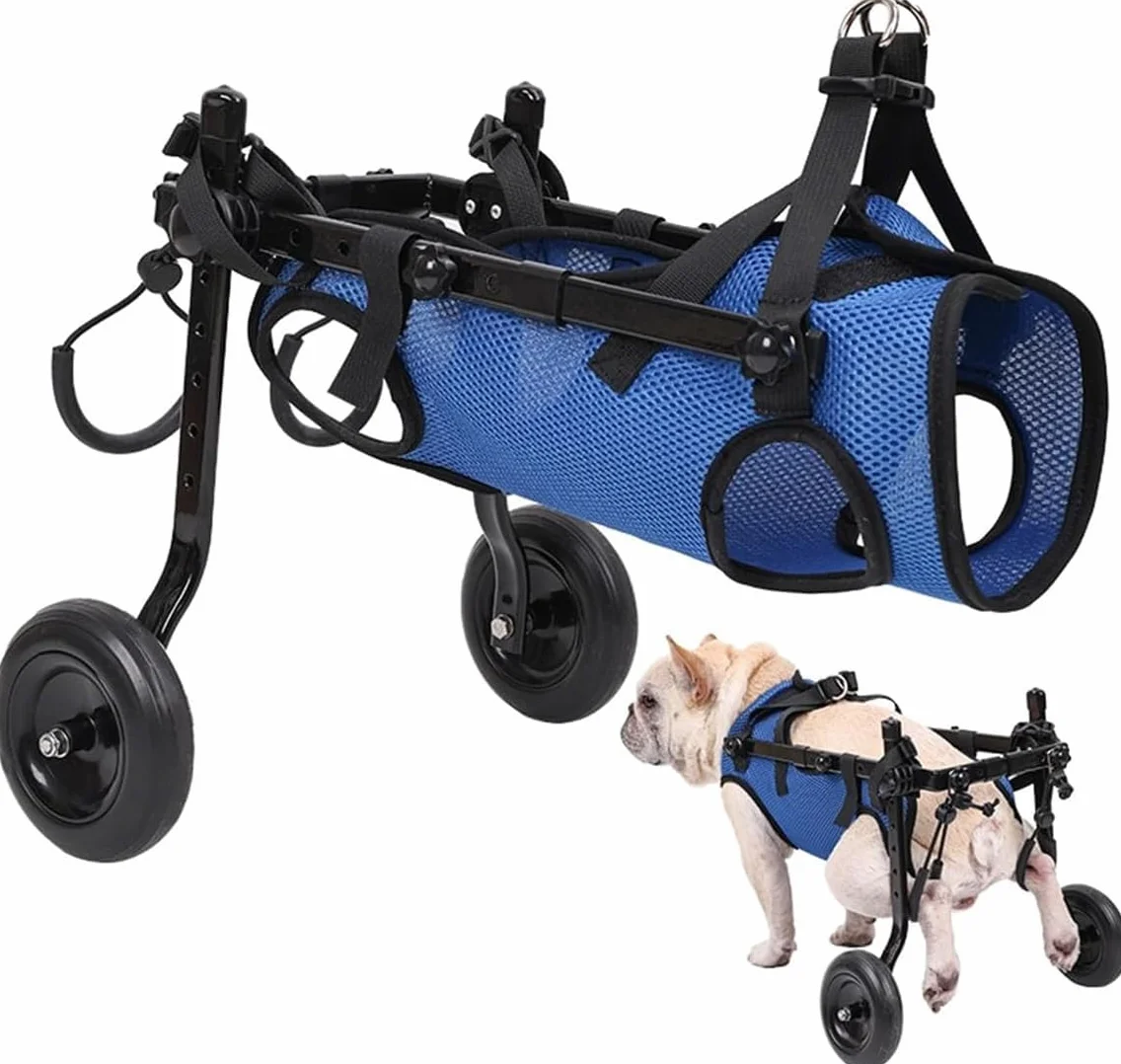 Fauteuil roulant réglable pour chien Aide à la mobilité Chariot de réhabilitation XS