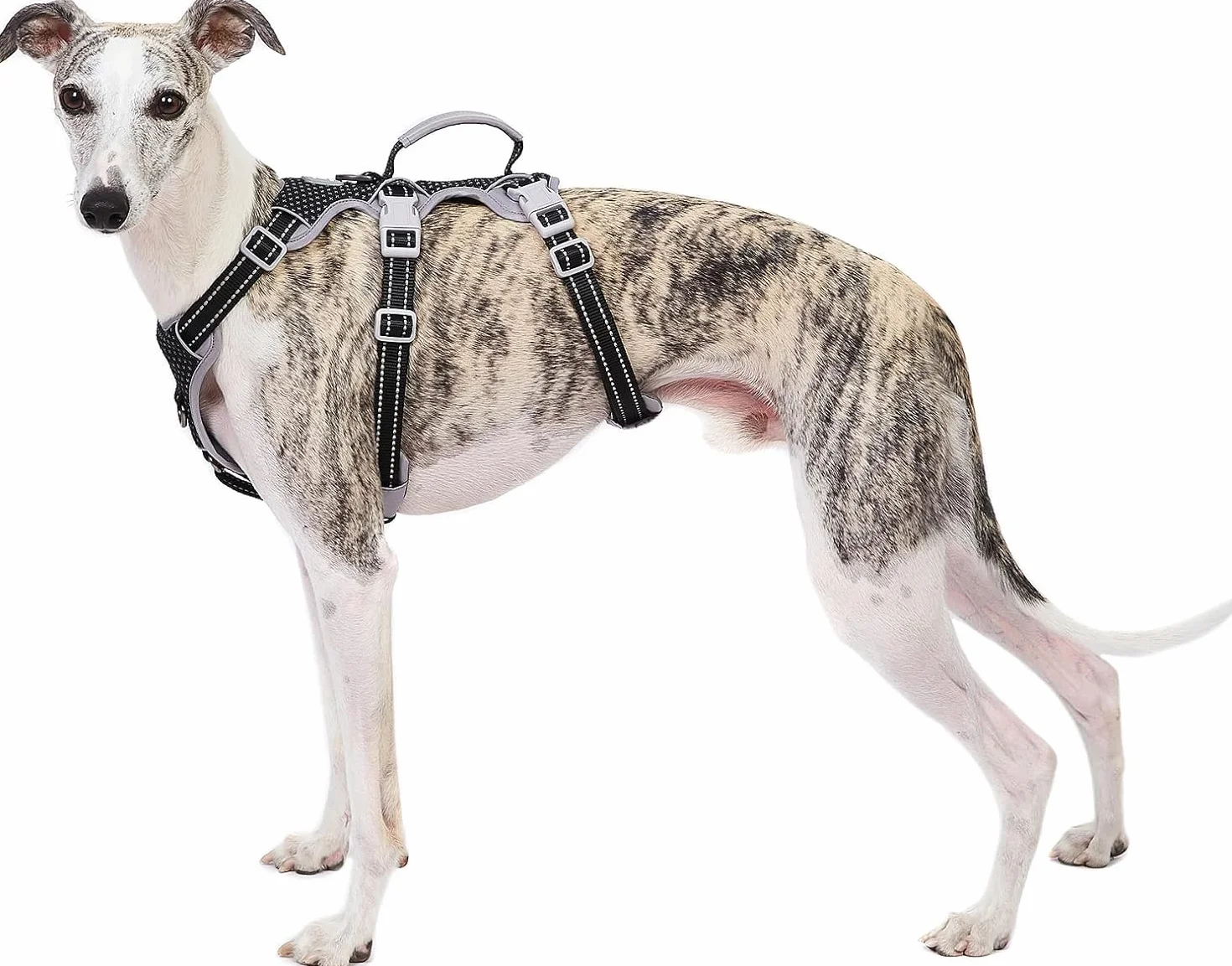 Harnais Anti-Fugue pour Chien Entièrement Réfléchissant avec Poignée, Respirant, Durable, Gilet Réglable pour Chiens de Taille Moyenne
