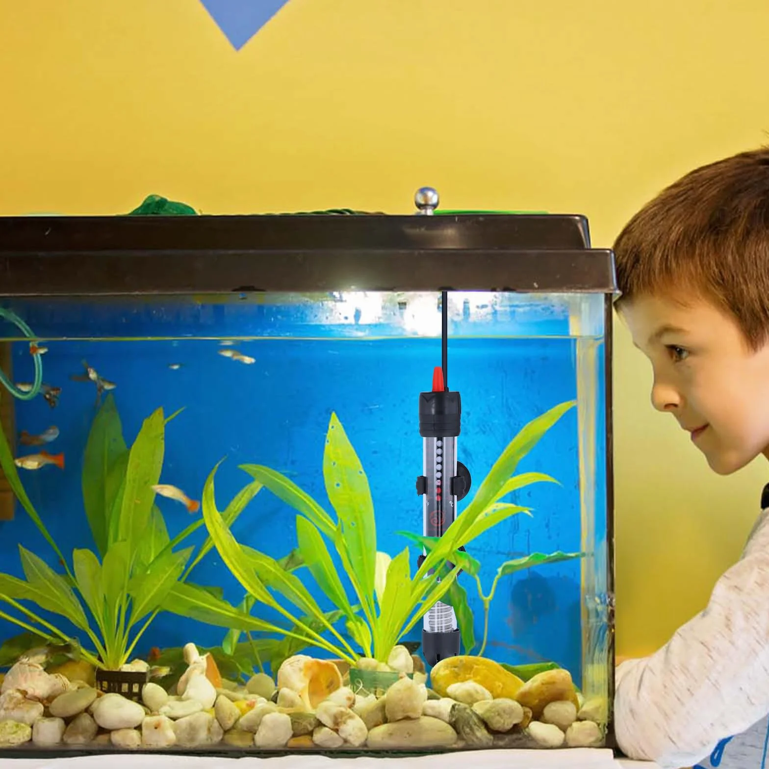 Focanet Chauffage Aquarium 30L, 25W Chauffage d'Aquarium Réglable avec Thermostat 20-34 °C, Thermostat Réglable, Chauffage en Verre Submersible pour Réservoirs à Poissons Et Aquarium