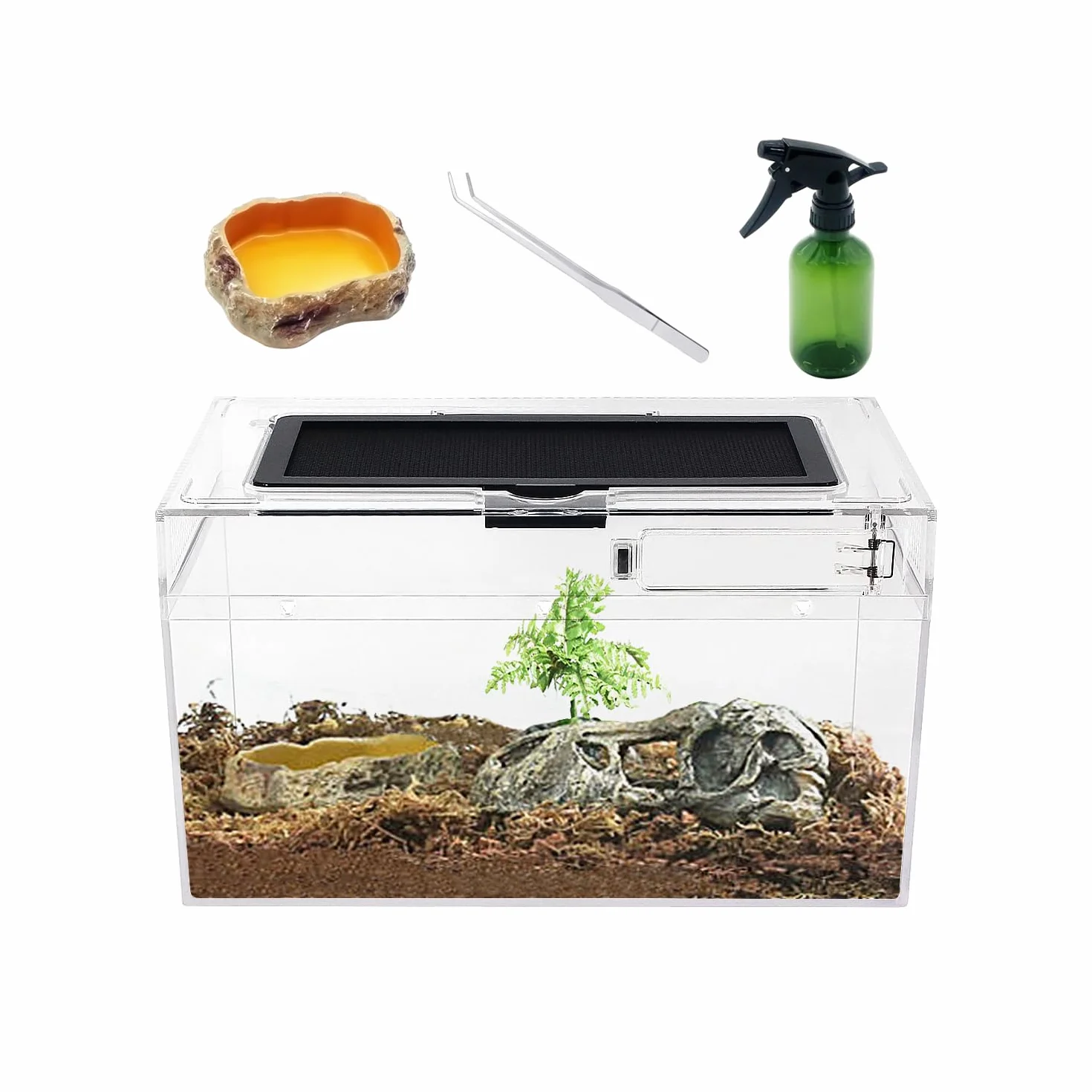 PC Reptile Growth Terrarium, 12" x 7" x 6", Vivarium Vue Complète pour Lézard Gecko Léopard Dragon Barbu
