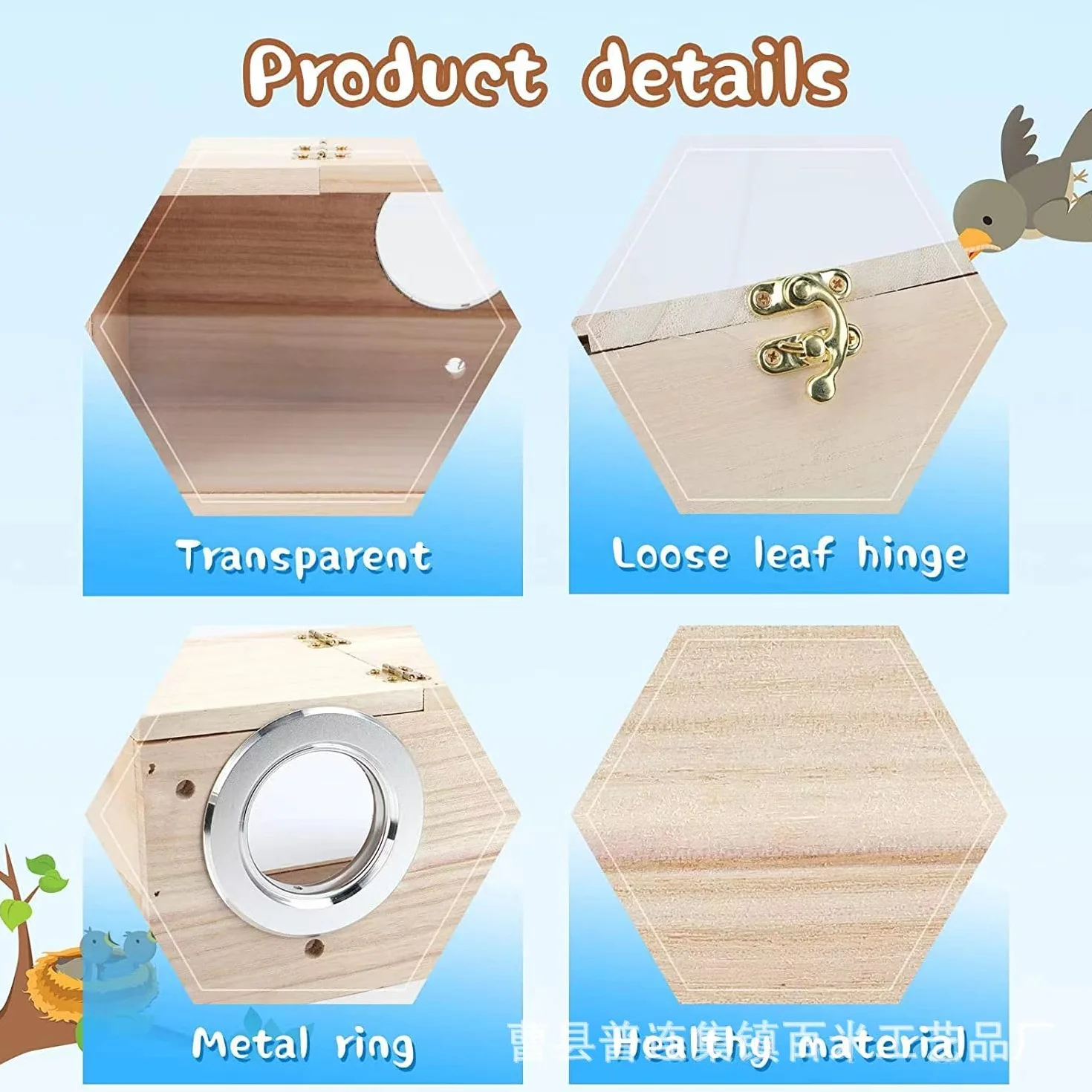 Nichoir transparent en bois naturel pour perruches, inséparables et pinsons