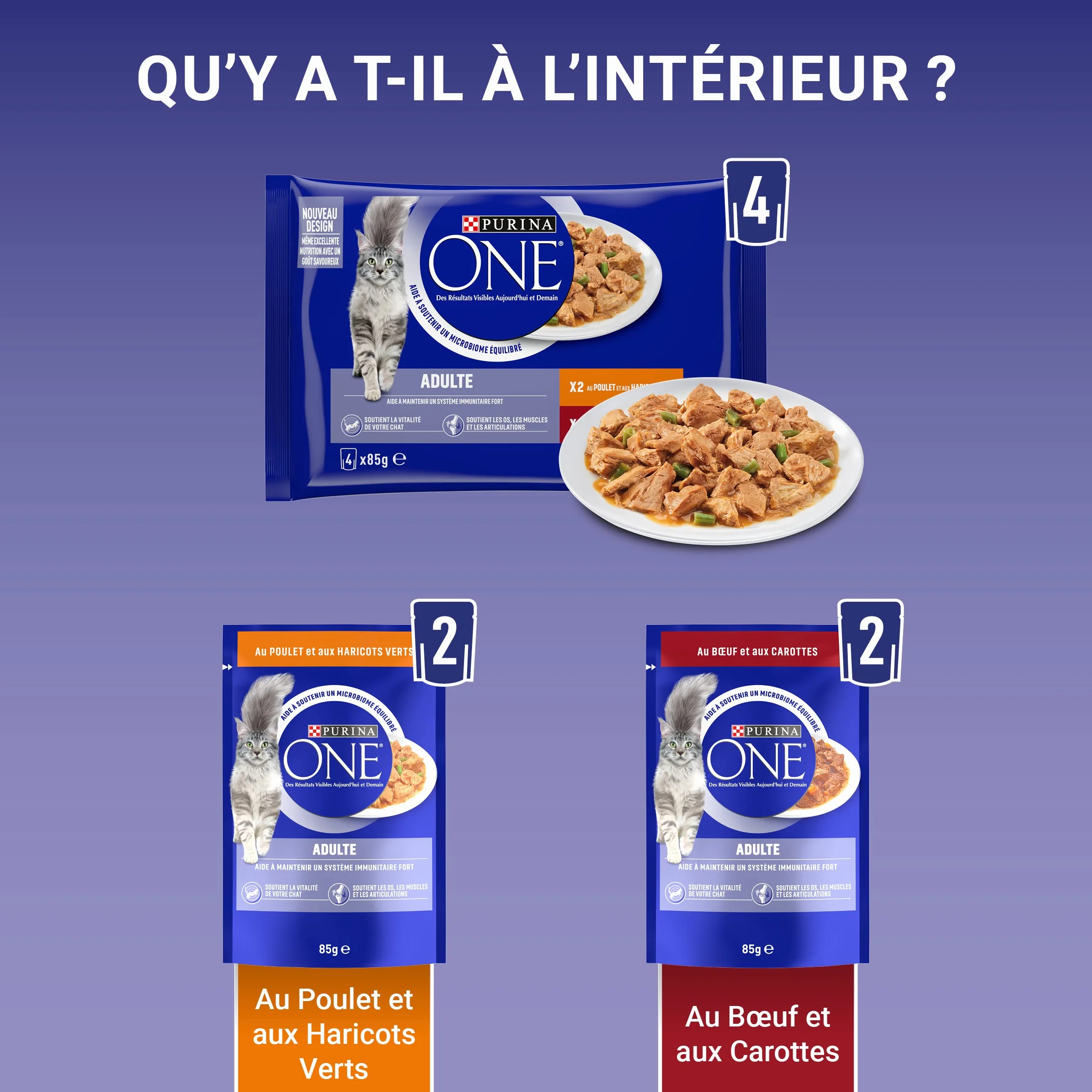 PURINA ONE BIFENSIS Chat Adulte Poulet Boeuf Effilés en Sauce Sachets Fraîcheur Lot de 12 (4 x 85g)
