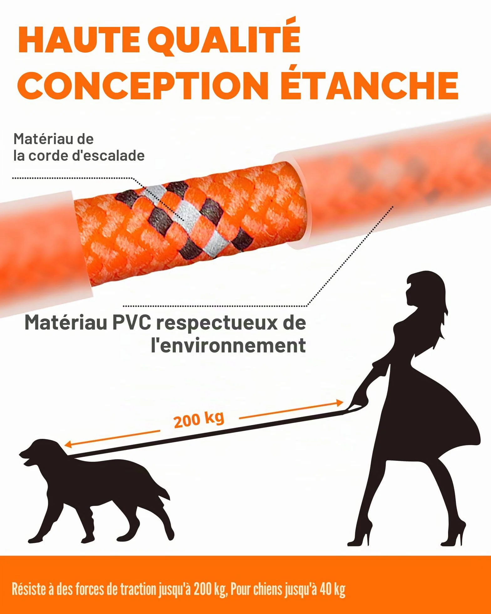 Laisse pour Chien - Imperméable et réfléchissante pour la sécurité - Légère, Solide et Robuste - Laisse d'entraînement avec dragonne - 5m/10m/15m/20m pour Petits, Moyens et Grands Chiens