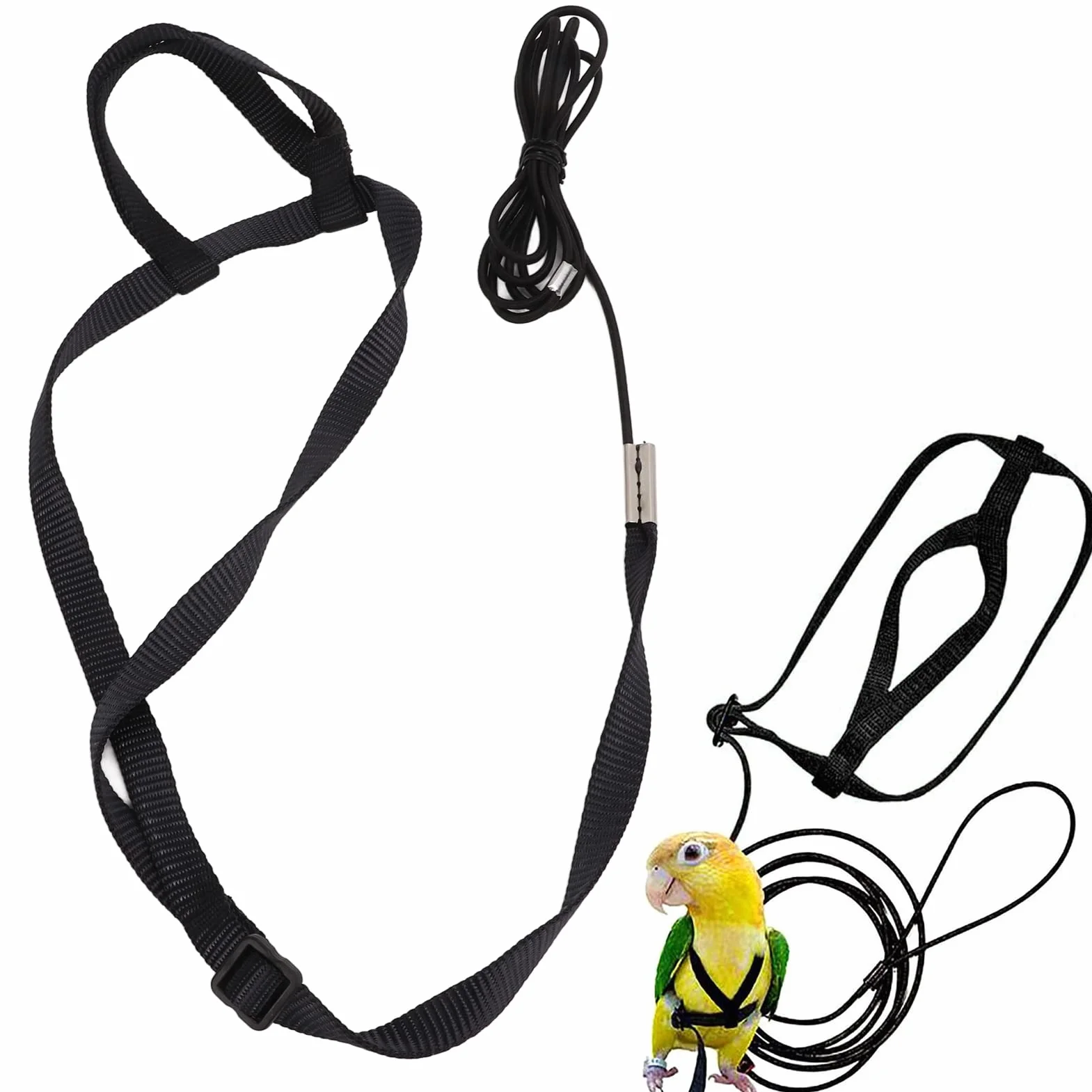 Harnais et Laisse Perroquet Réglable en Nylon, Accessoire Exercice Plein Air pour Ara Perruche Cacatoès Gris Africain, Empêche Fuite et Évasion, pour Vol Libre Sécurisé en Extérieur