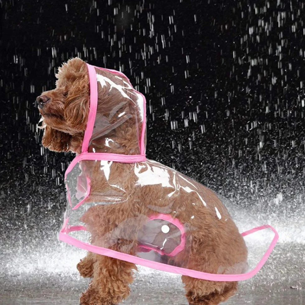 KoKoBin Manteau imperméable pour chiens et chats petite taille PVC transparent capuche réglable