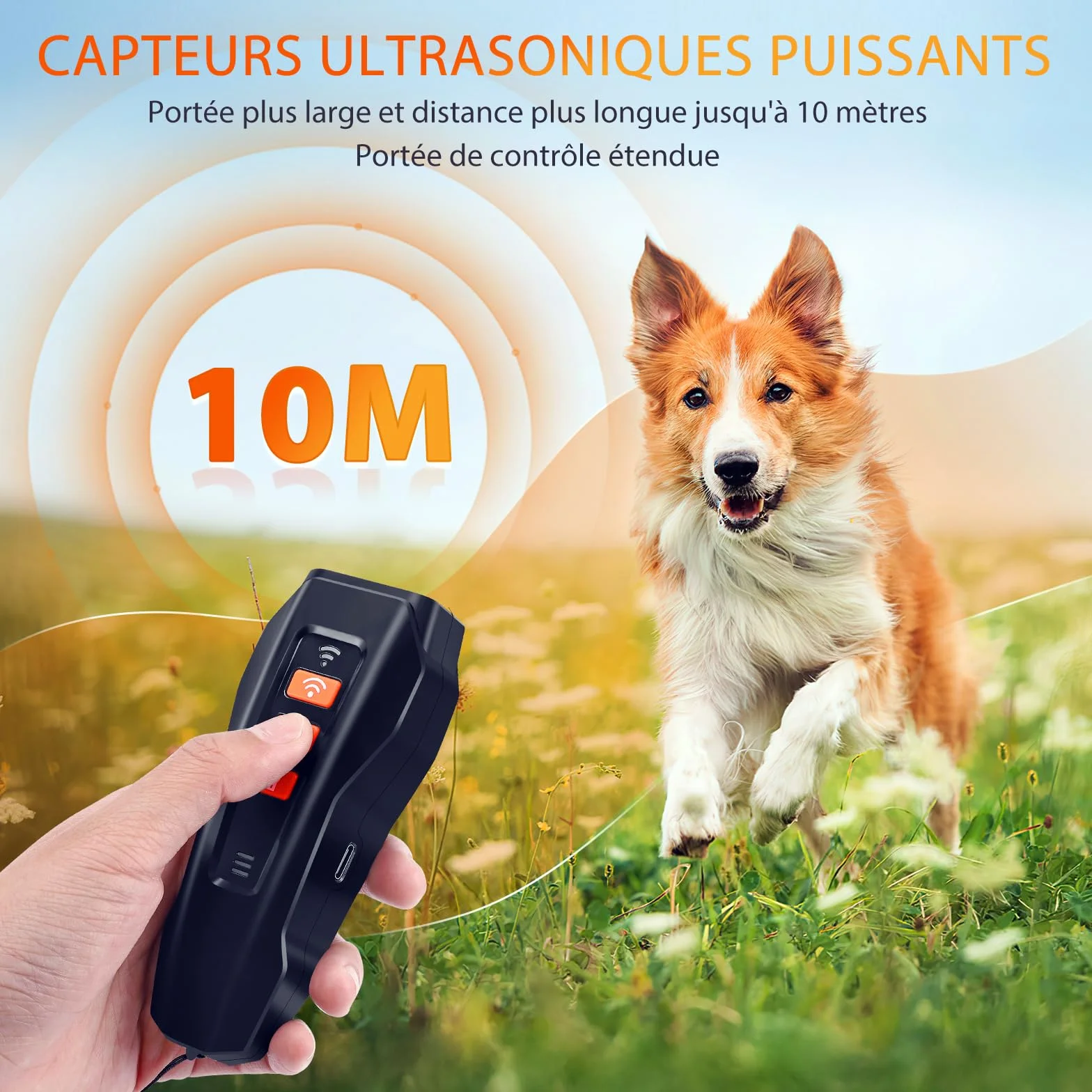 Répulsif à Ultrasons Chien Anti Aboiement Puissant Réglable 3 Fréquences 10M Portée