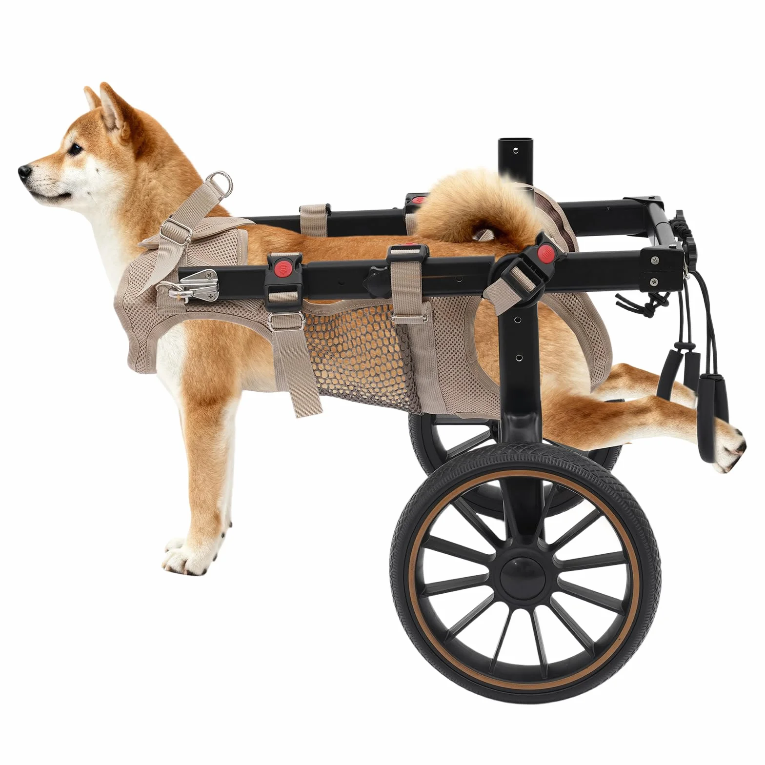 Fauteuil roulant léger pour chien jusqu'à 65 kg, réglable, roues amortissantes, aide rééducation